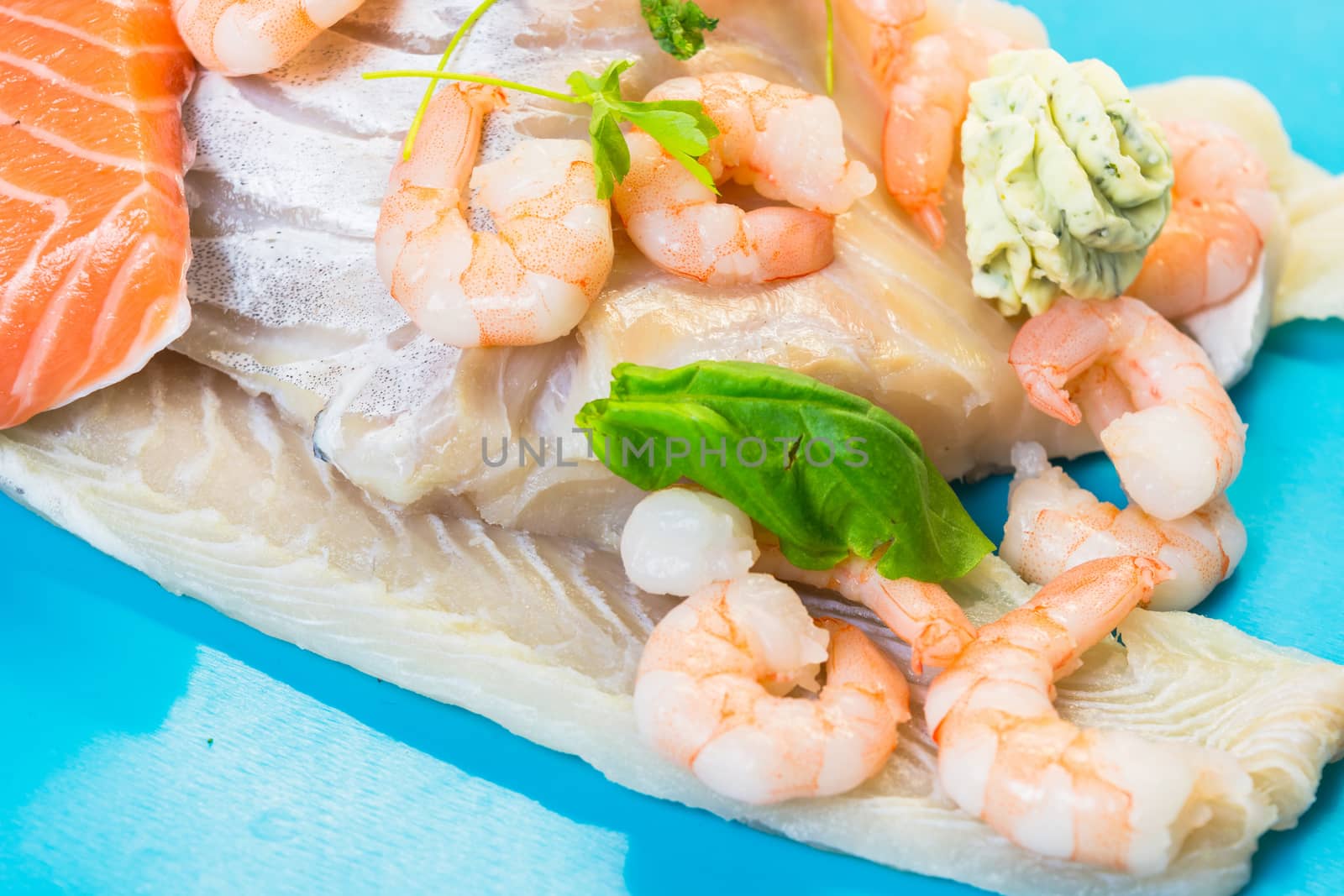 Various raw fish species as fillets like salmon, cod and shrimp.