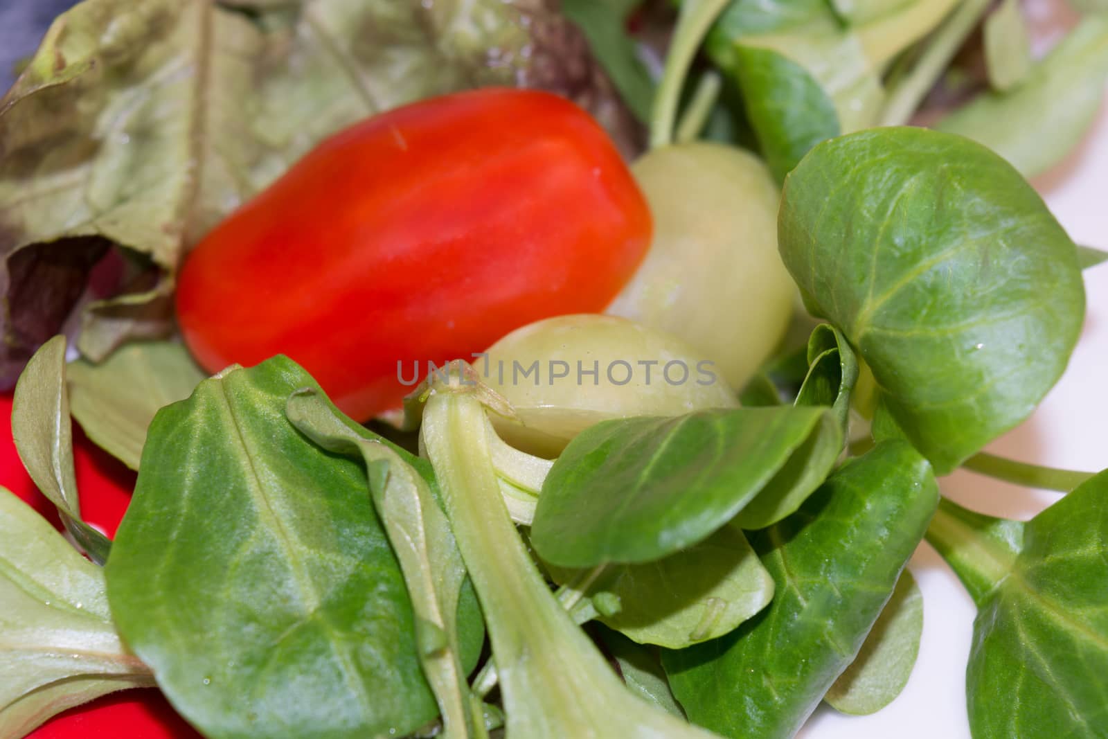 Cherry tomato and corn salad on a white plate.