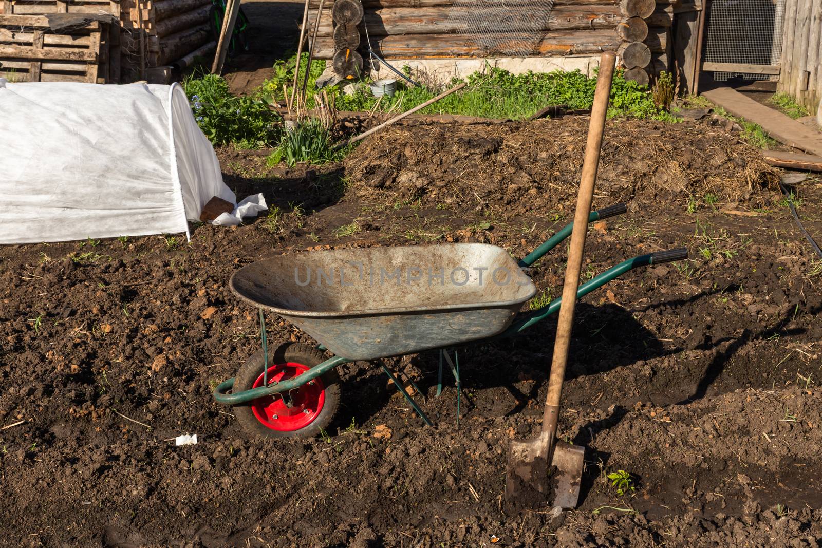 Truck and shovel in the garden by Mieszko9