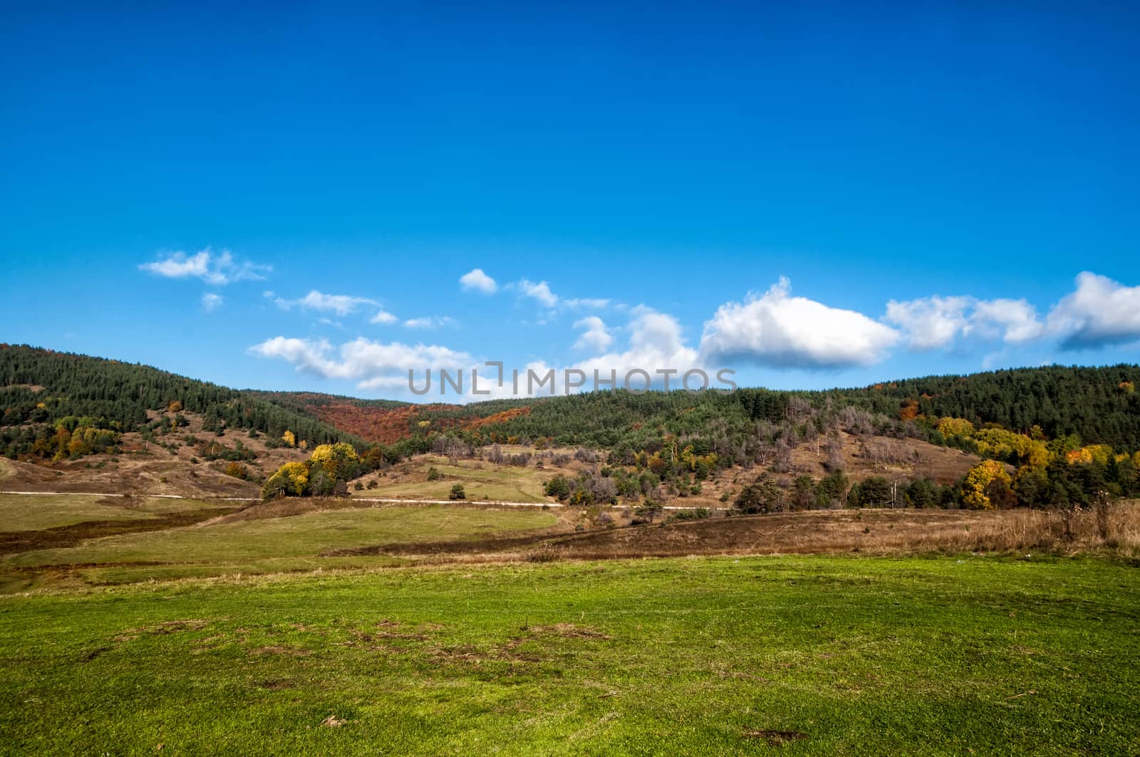 Bright sunny autumn in the mountains by mitakag