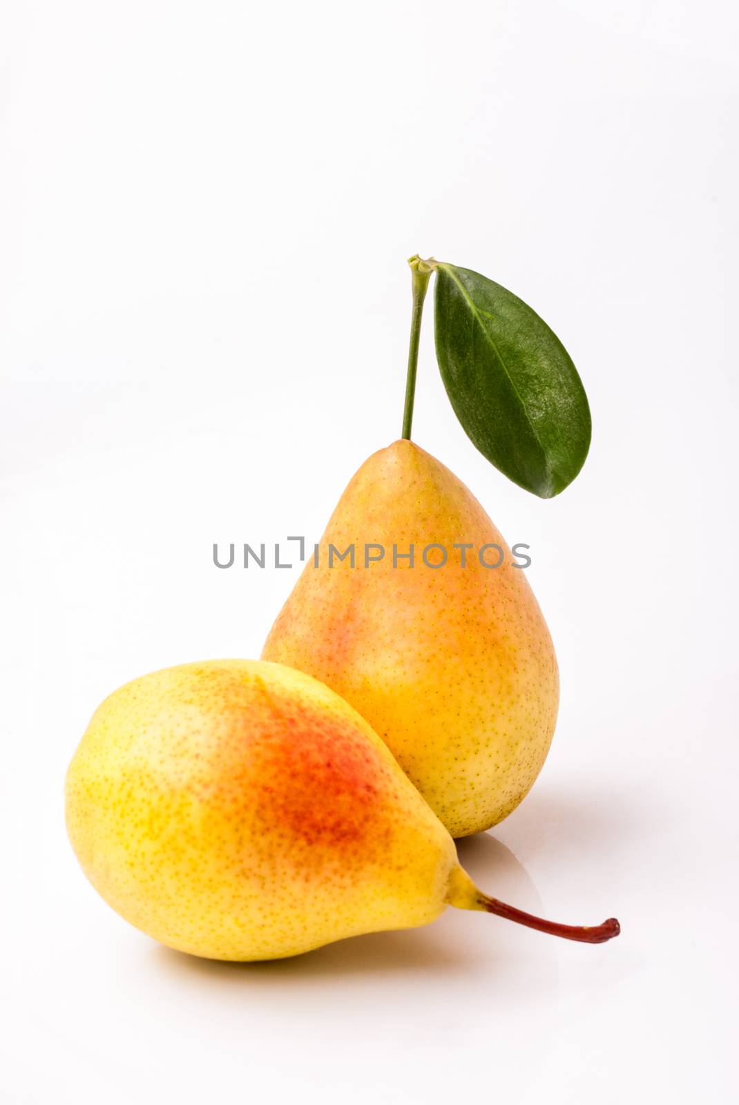 Two yellow pears isolated on white background