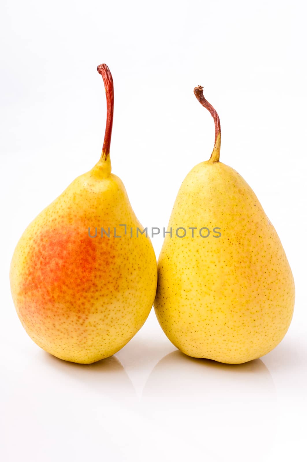 Two yellow pears isolated on white background