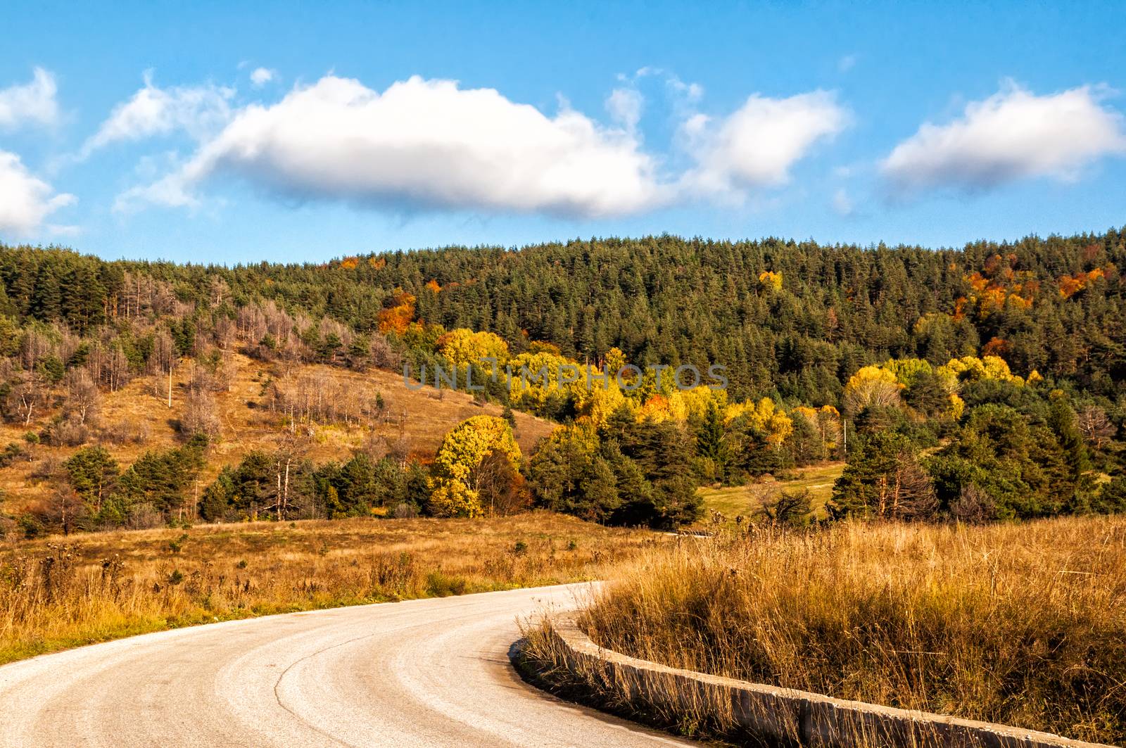 Bright sunny autumn in the mountains by mitakag