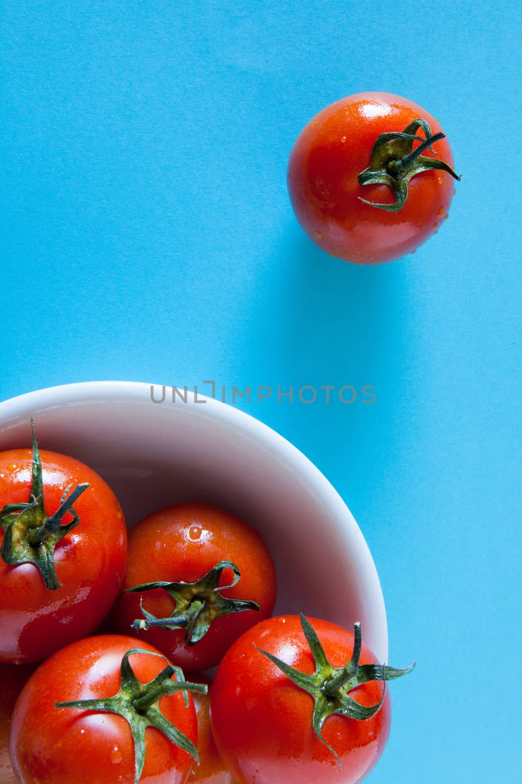 Red tomatoes on a blue background by andongob