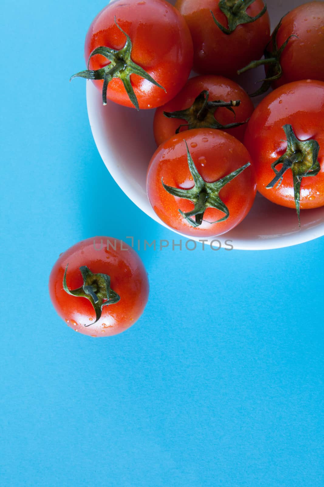 Red tomatoes on a blue background by andongob