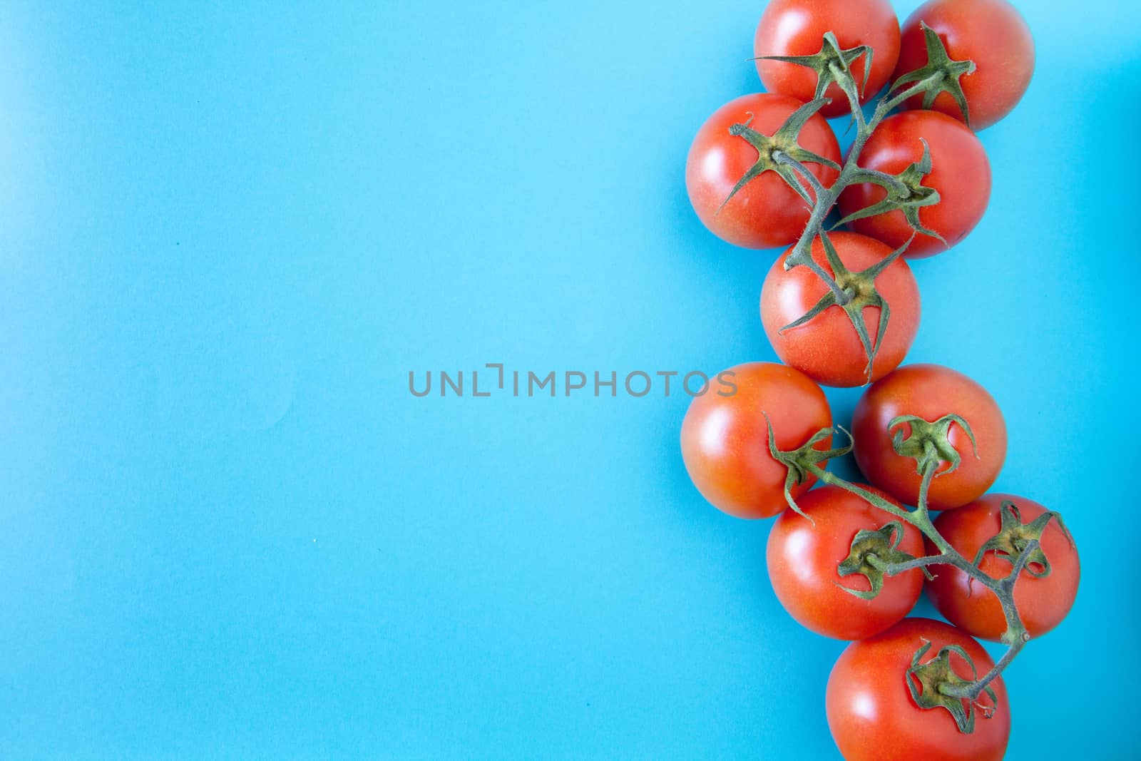 Red tomatoes on a blue background by andongob