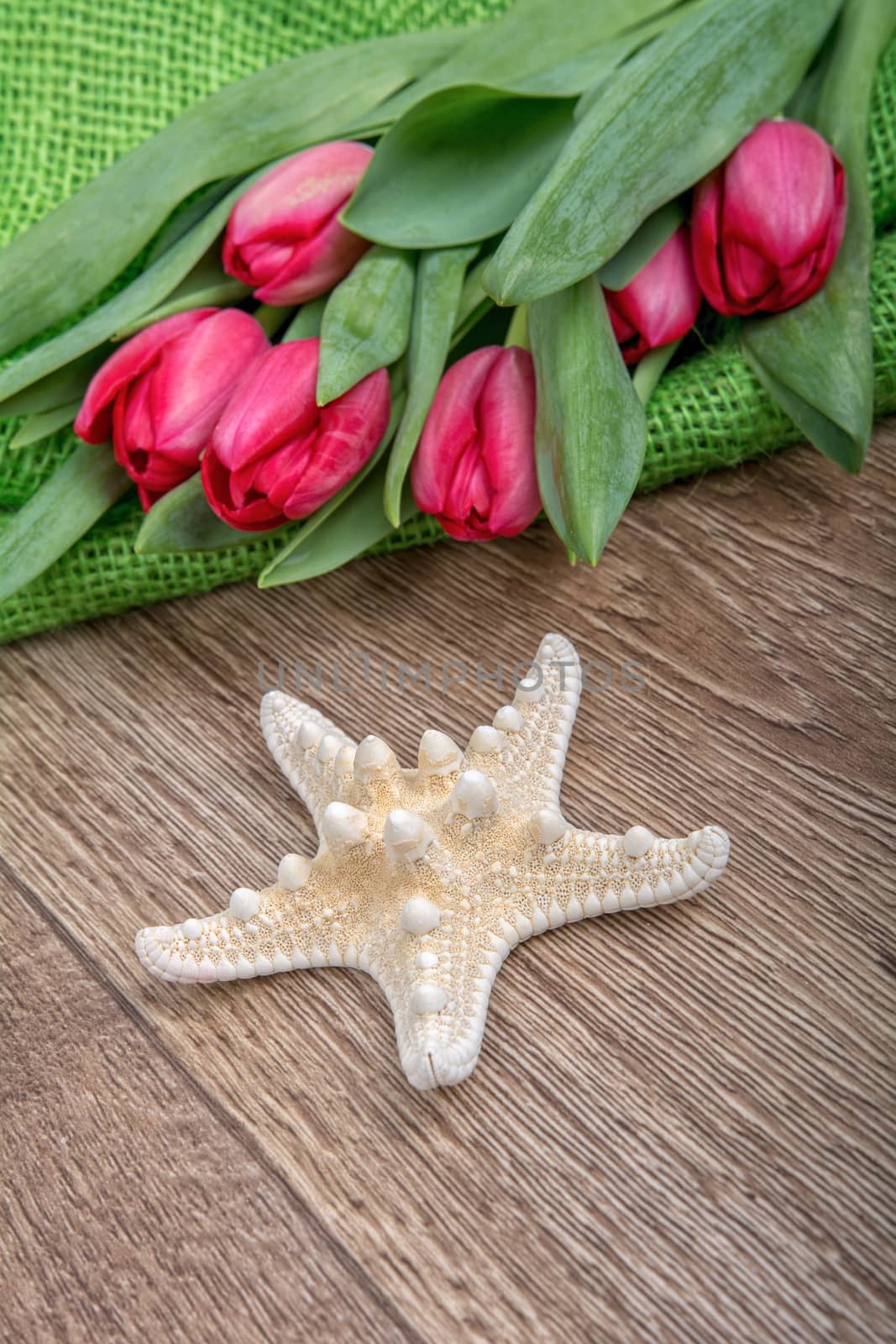 Starfish and red tulips on a wooden background