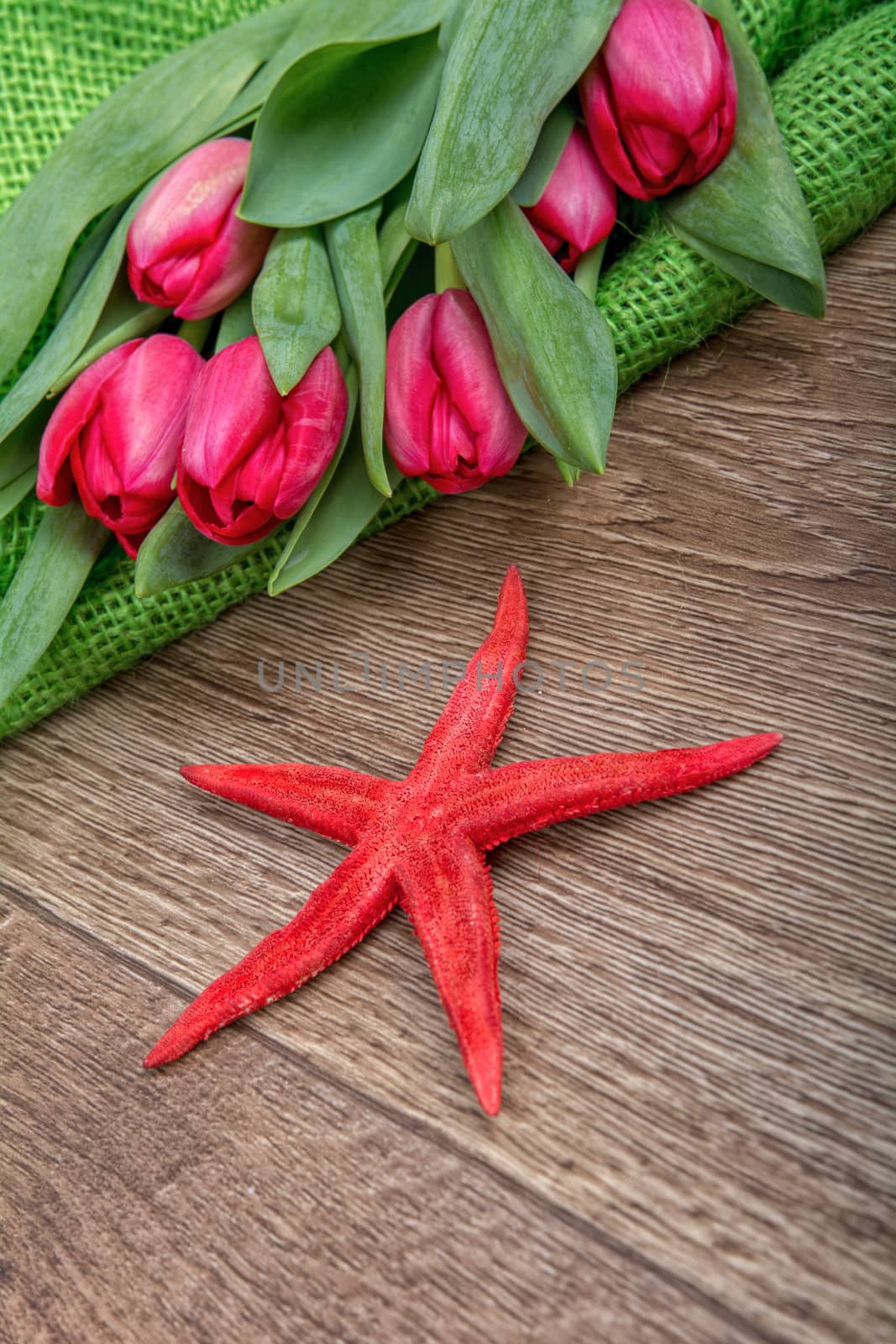 Starfish and red tulips on a wooden background