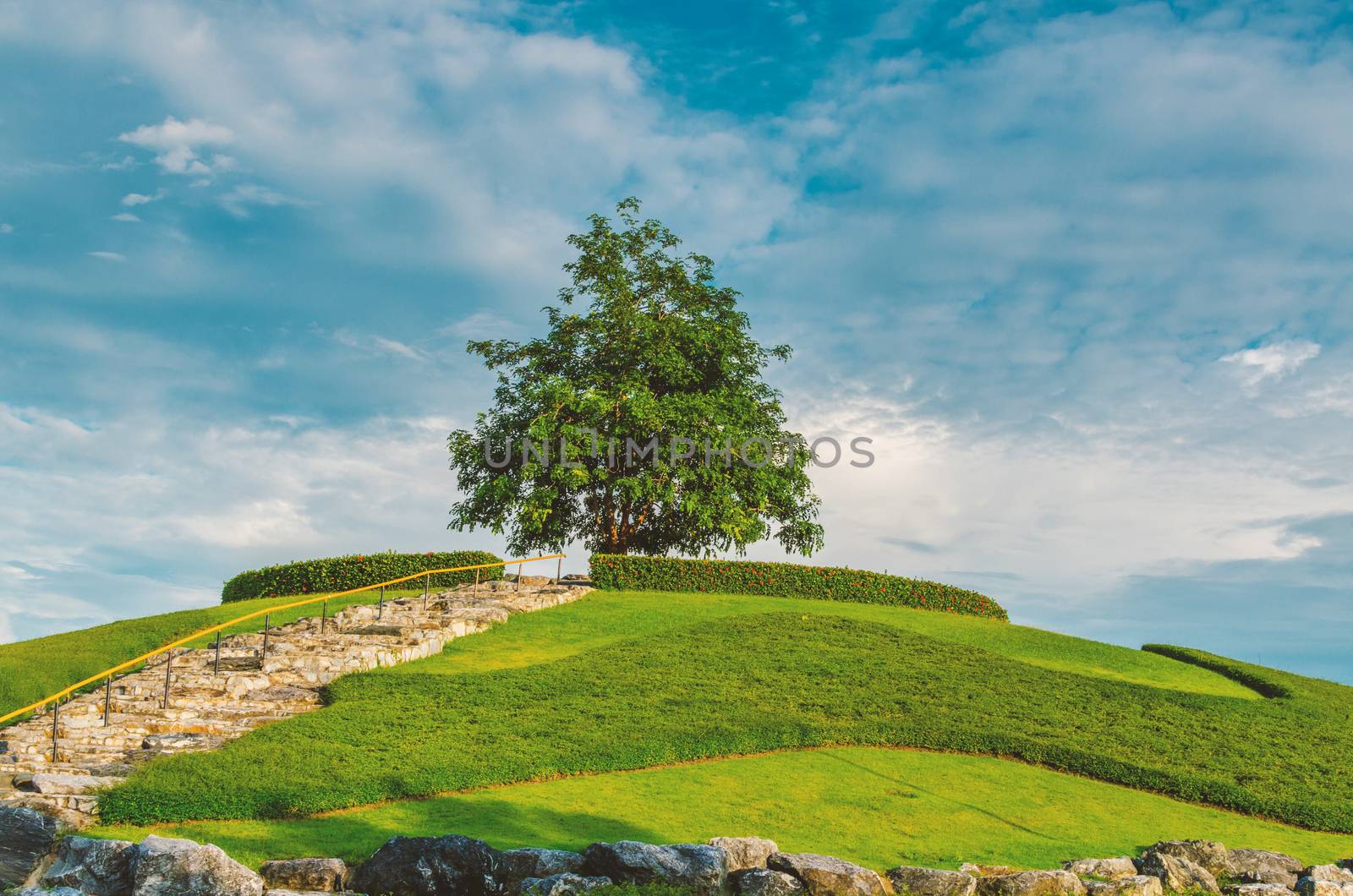 Green little planet with grass on its surface, alone tree . Arti by nopparats