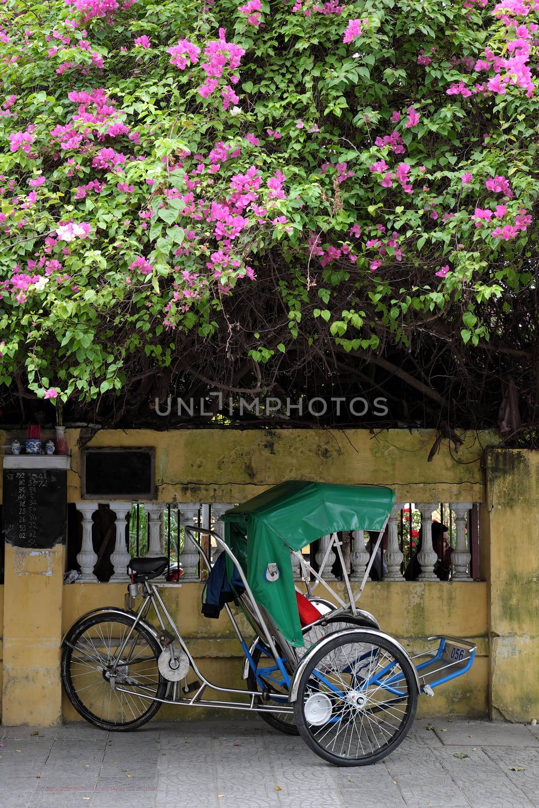 Nice scene at Hoi An old town, a famous place for Vietnam travel, pedicab park on pavement under flower trellis, pedicab is eco transport vehicle that friendly with environment