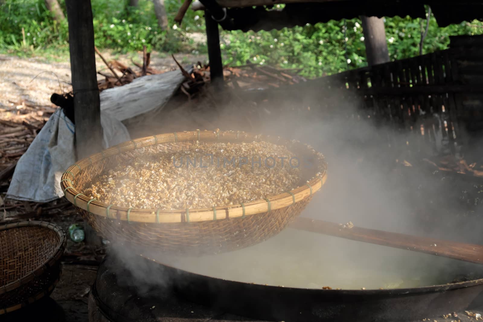 process mussel, cook seafood in boil water then sift mussel pulp from sell, mussel is famous food in Hoian, Vietnam