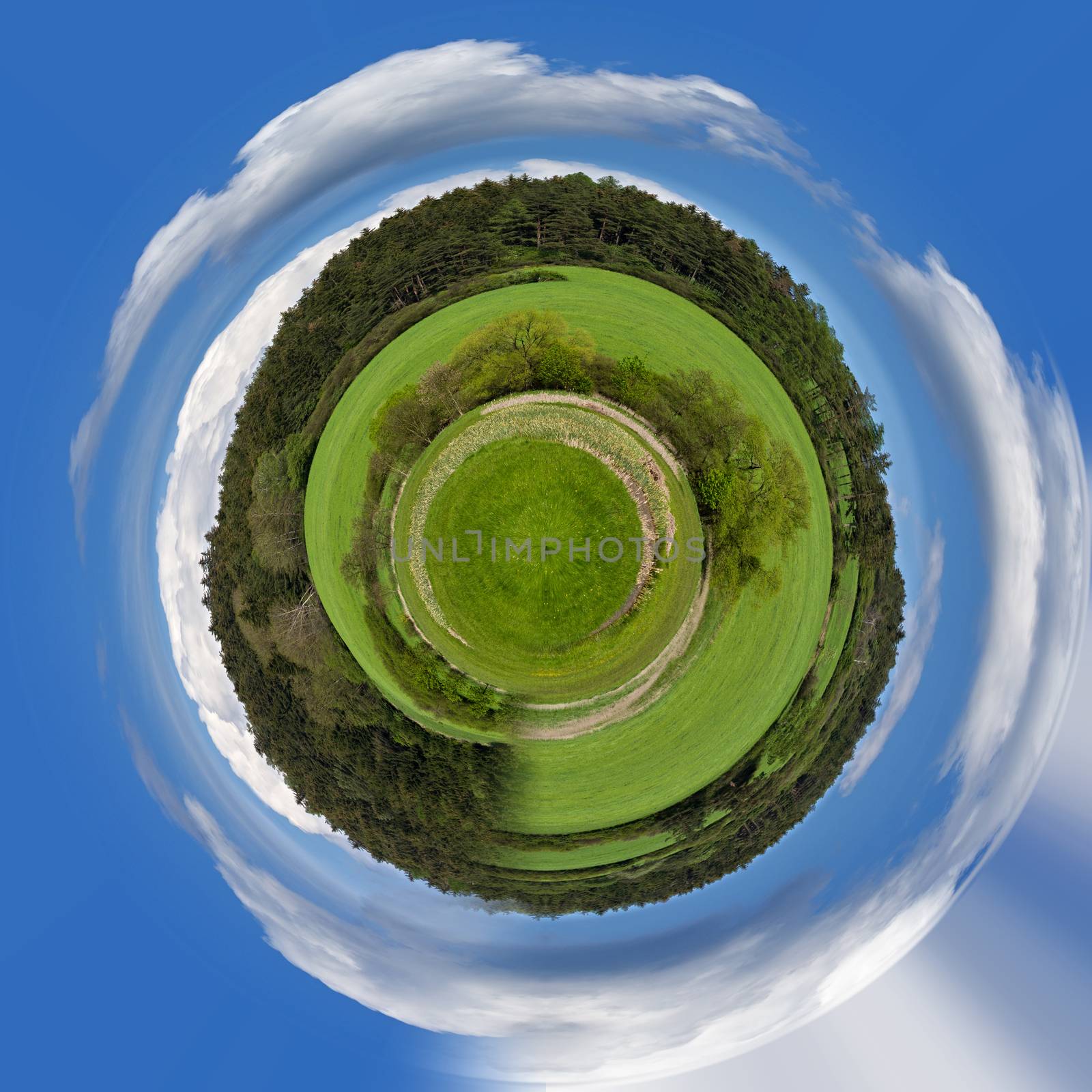 tiny planet of beautiful summer rural landscape with forest. Rural landscape with trees. Spring landscape. Green czech countryside. Beautiful highland vysocina european countryside, ecology concept