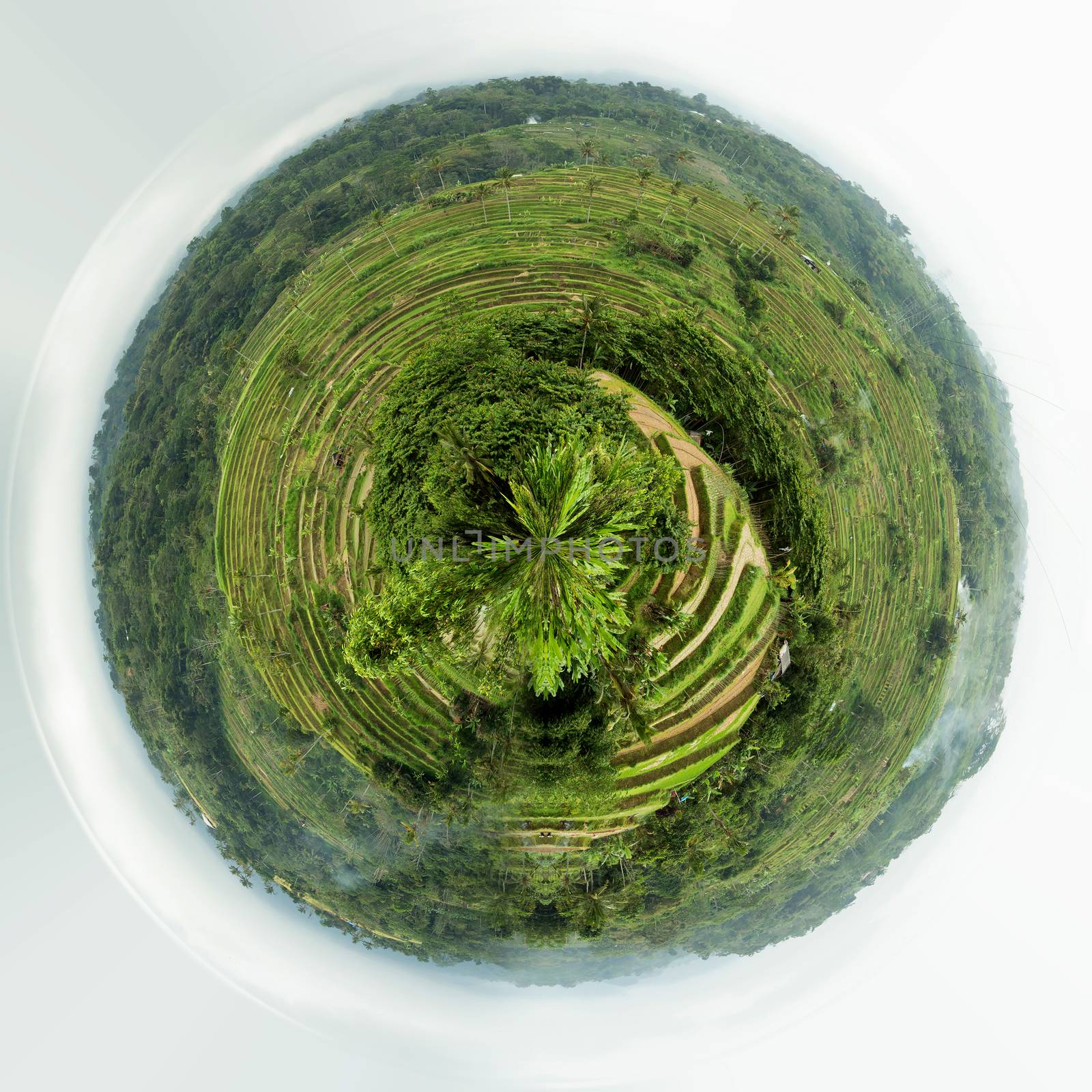 panorama of beautiful Rice terraced paddy fields in central Bali, Indonesia. Beautiful Little planet ecology concept. Tiny green planet. Save nature project