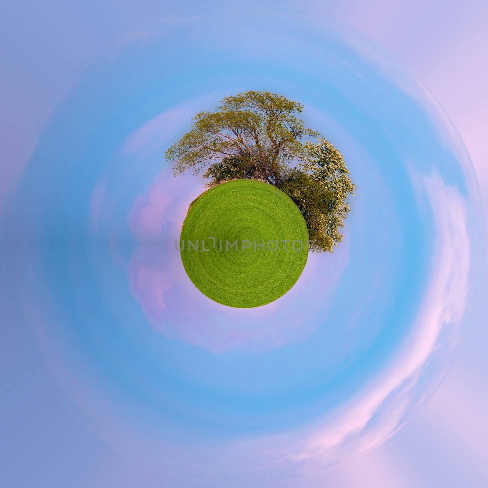Beautiful summer rural landscape with field and blue sky. Spring landscape. green field in countryside. Beautiful Little planet with green grass, ecology concept. Tiny green planet