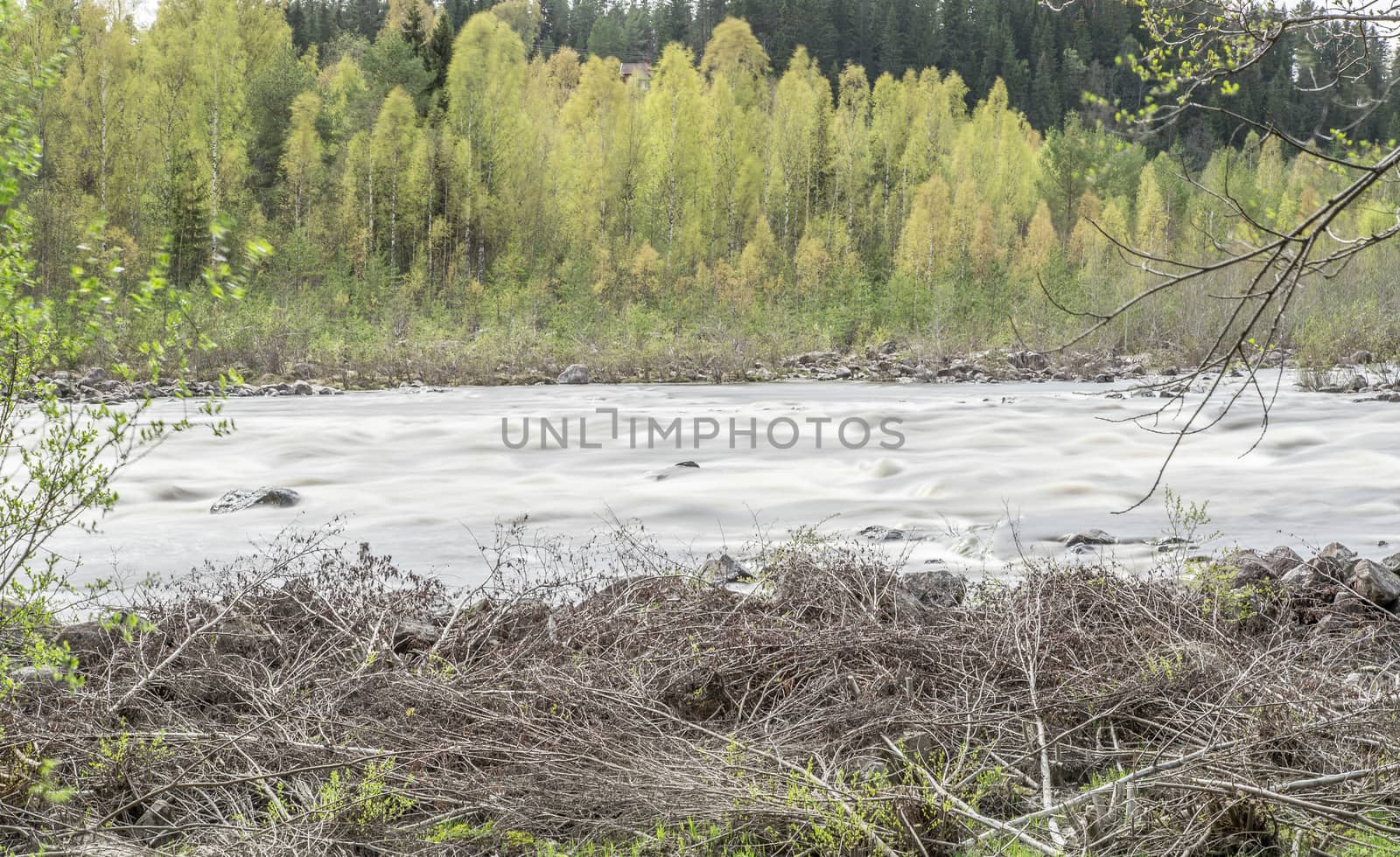 Umea, River in Sweden with Forest.