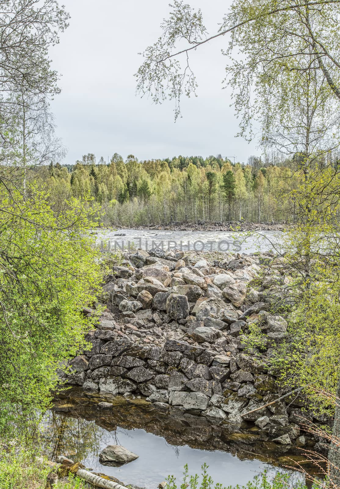 Umea River in Baggbole, Sweden with trees.