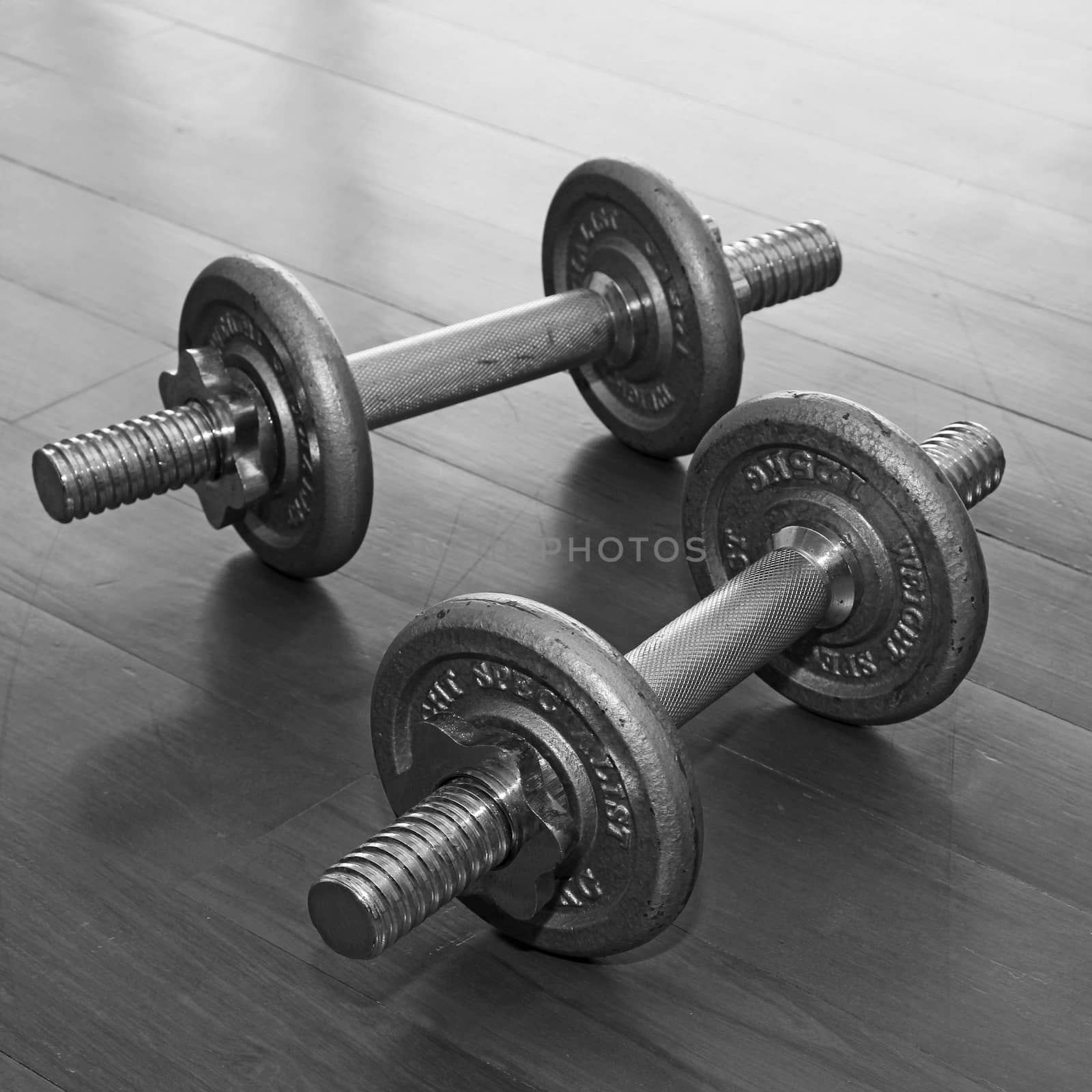 Dumbbell with plates by liewluck