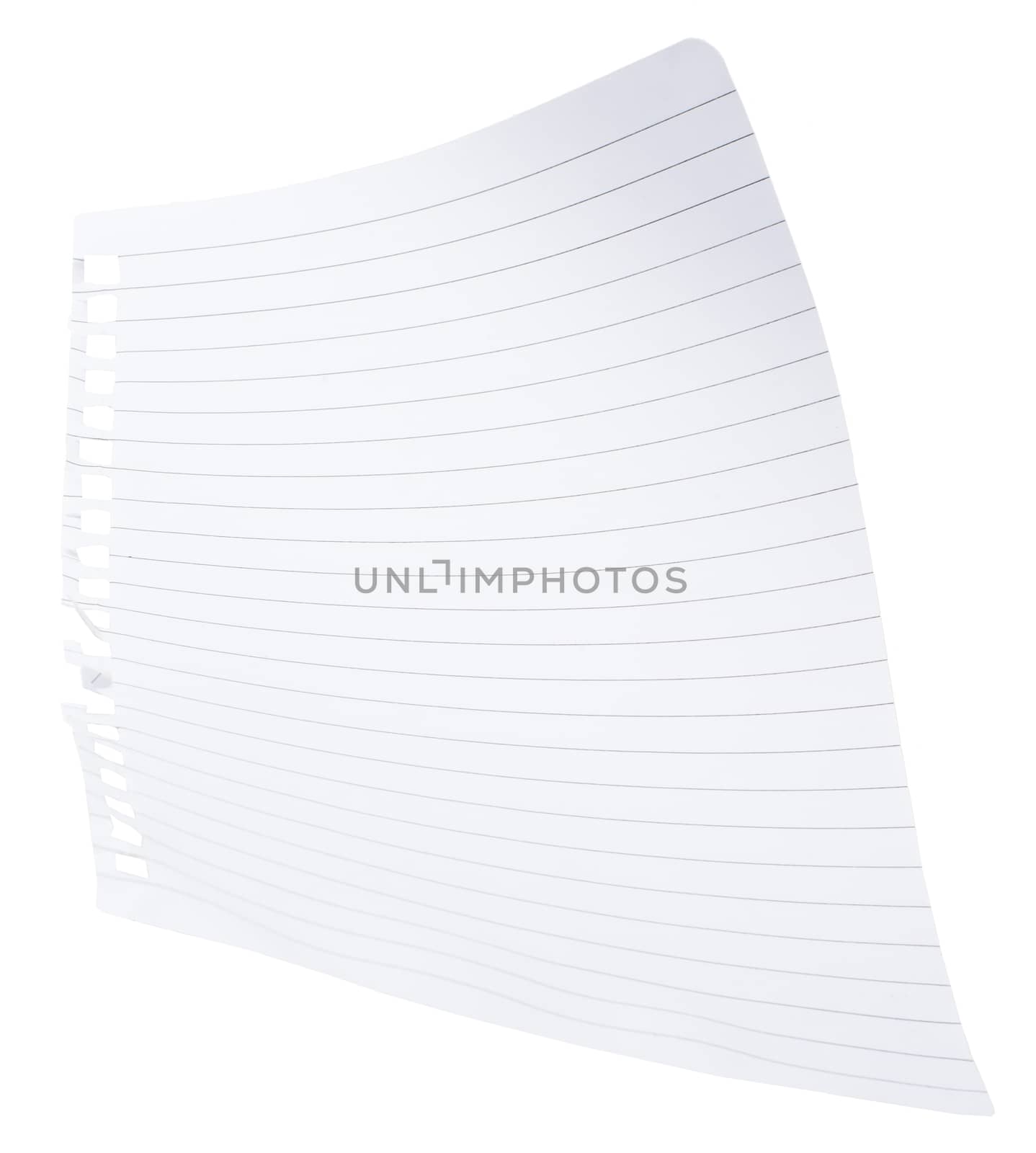 Note paper with curls on isolated white background