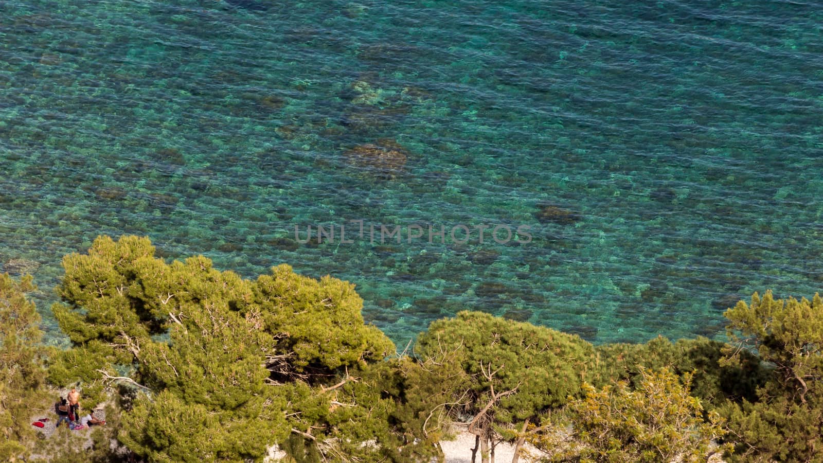 Aeral view of wonderful sicilian sea 
with maritime pine trees