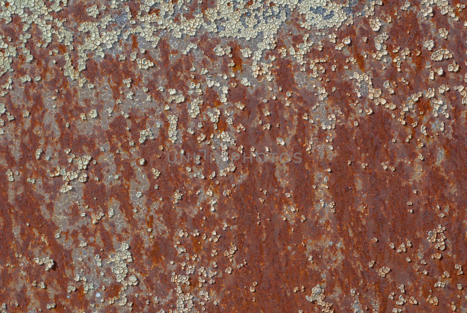 surface of rusty iron with remnants of old paint, great background or texture for your project by uvisni