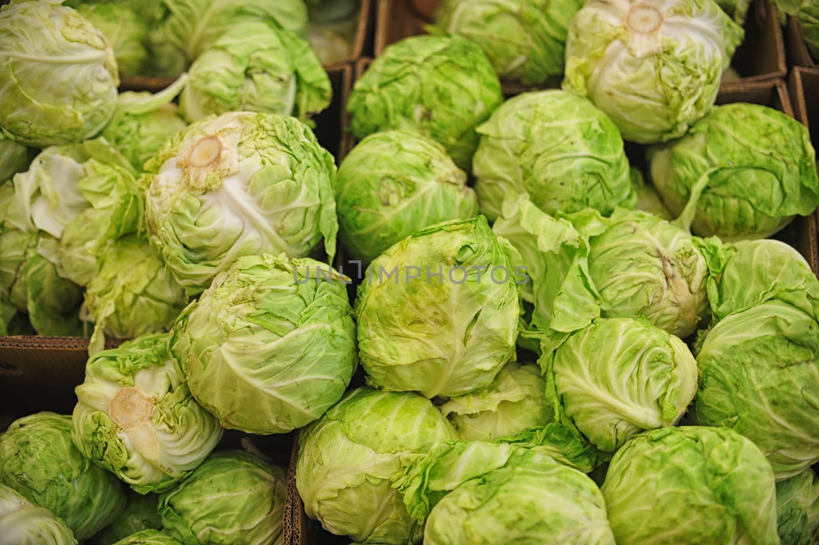 green fresh cabbage at farmers market