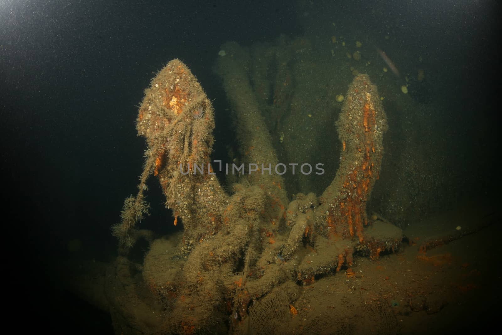 Baltic Sea underwater diving Ship Wreck photo by desant7474