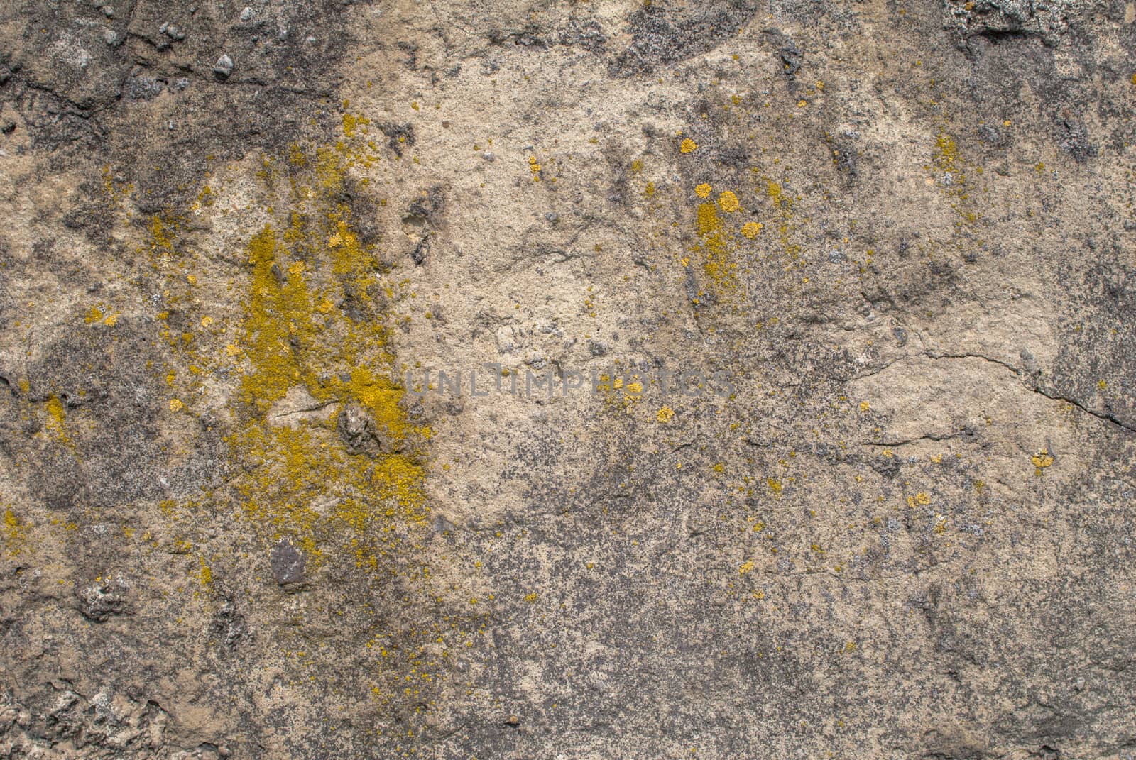 fragment of a concrete wall that for a long time exposed to different climatic conditions