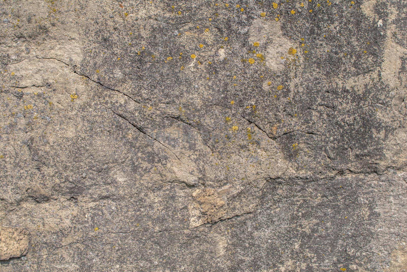 fragment of a concrete wall that for a long time exposed to different climatic conditions