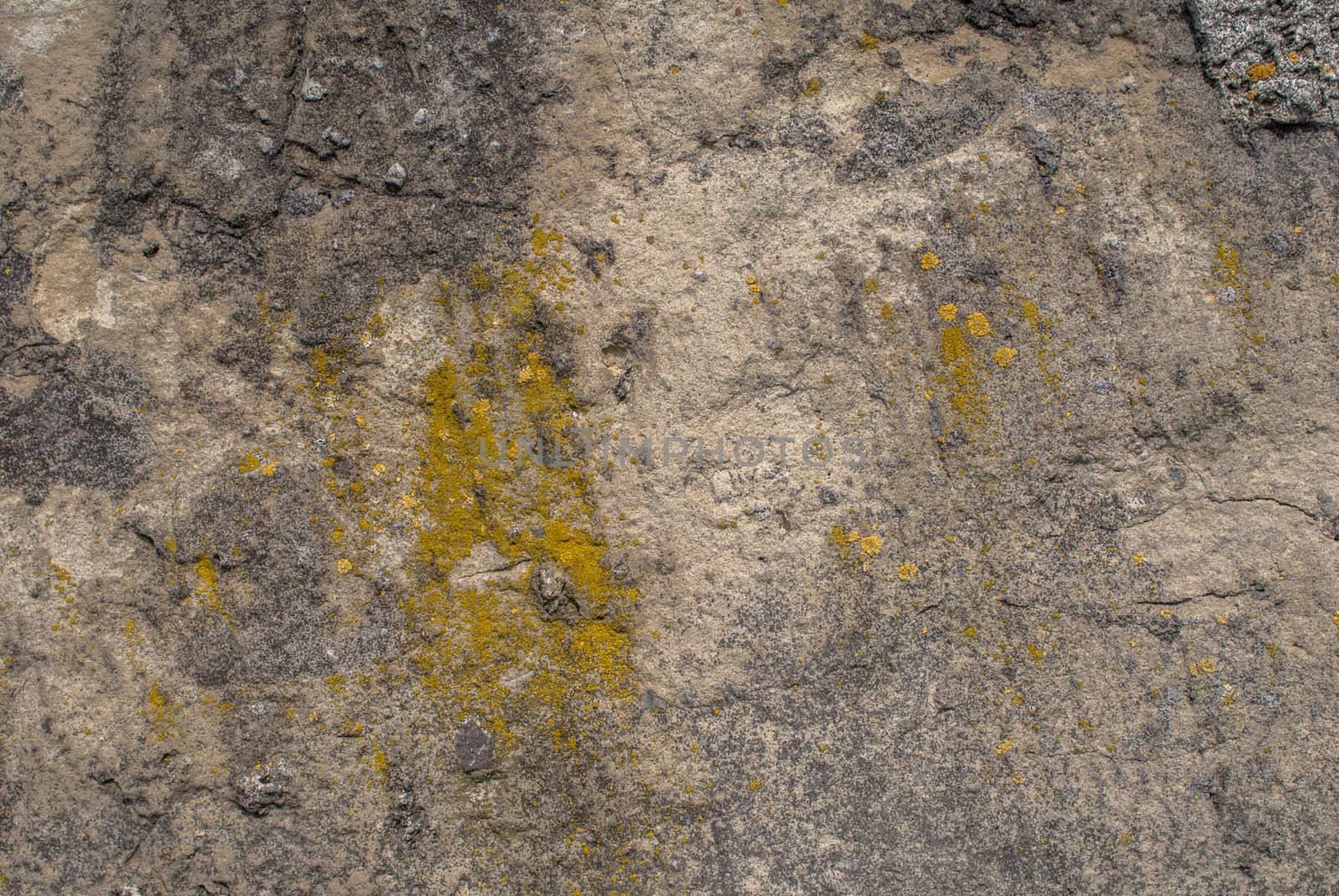 chipped paint, abstract concrete, weathered with cracks and scratches, landscape style, grunge concrete surface, great background or texture by uvisni