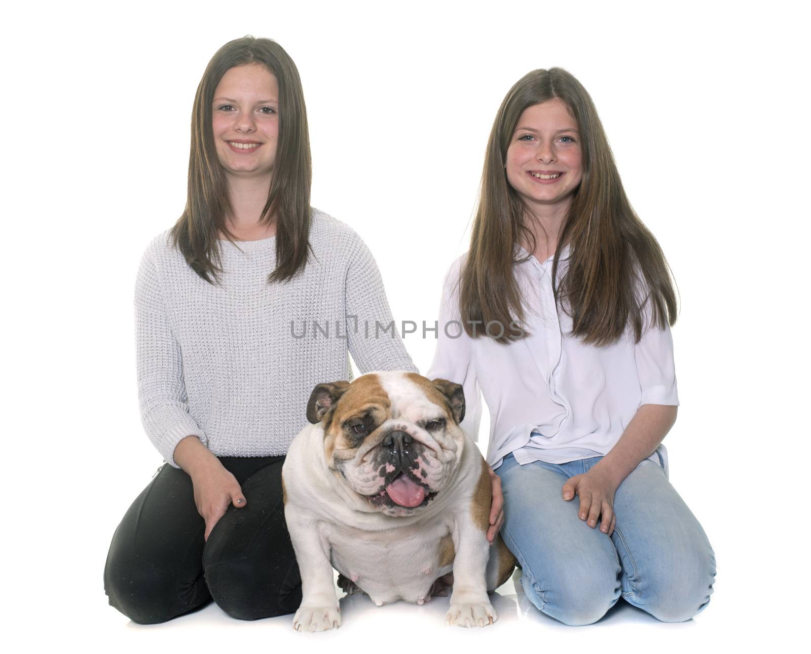 english bulldog and girls in front of white background