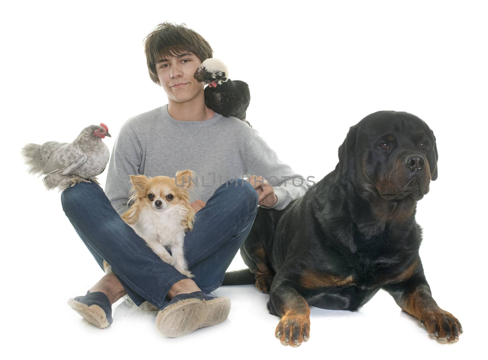 teen, dogs and chicken in front of white background