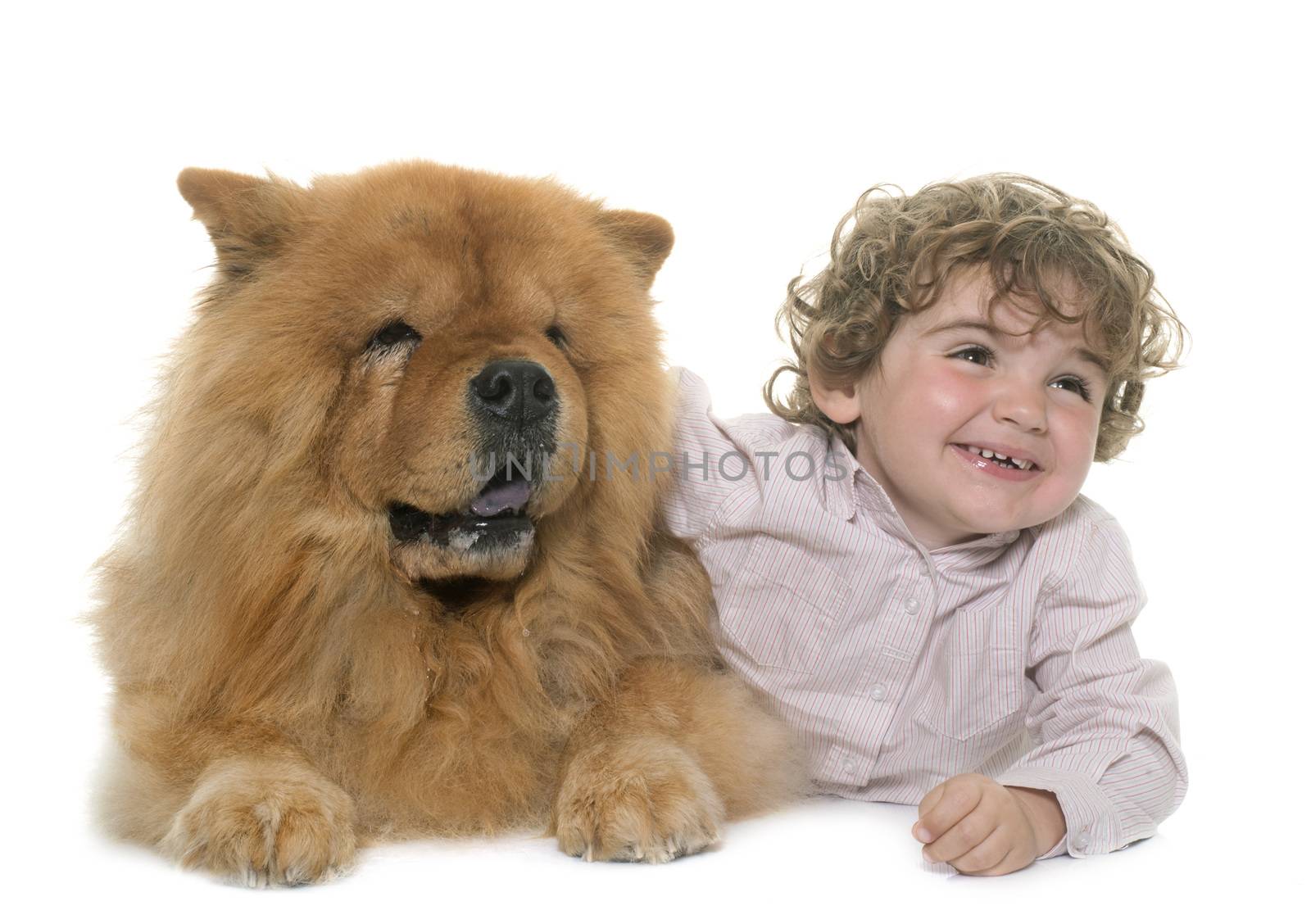 chow chow and boy by cynoclub