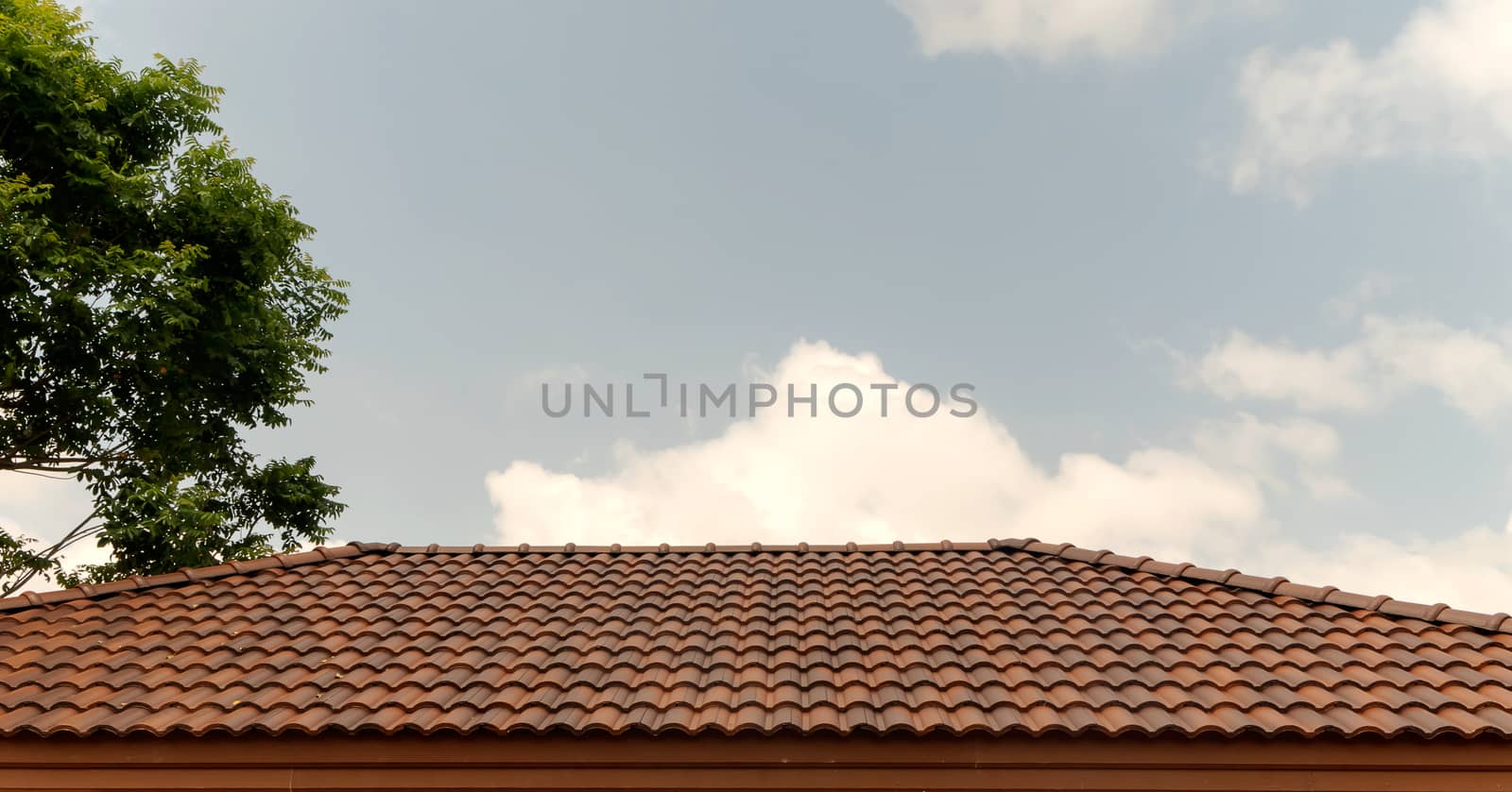 Roof house with orange tile roof and tree on blue sky by suthee