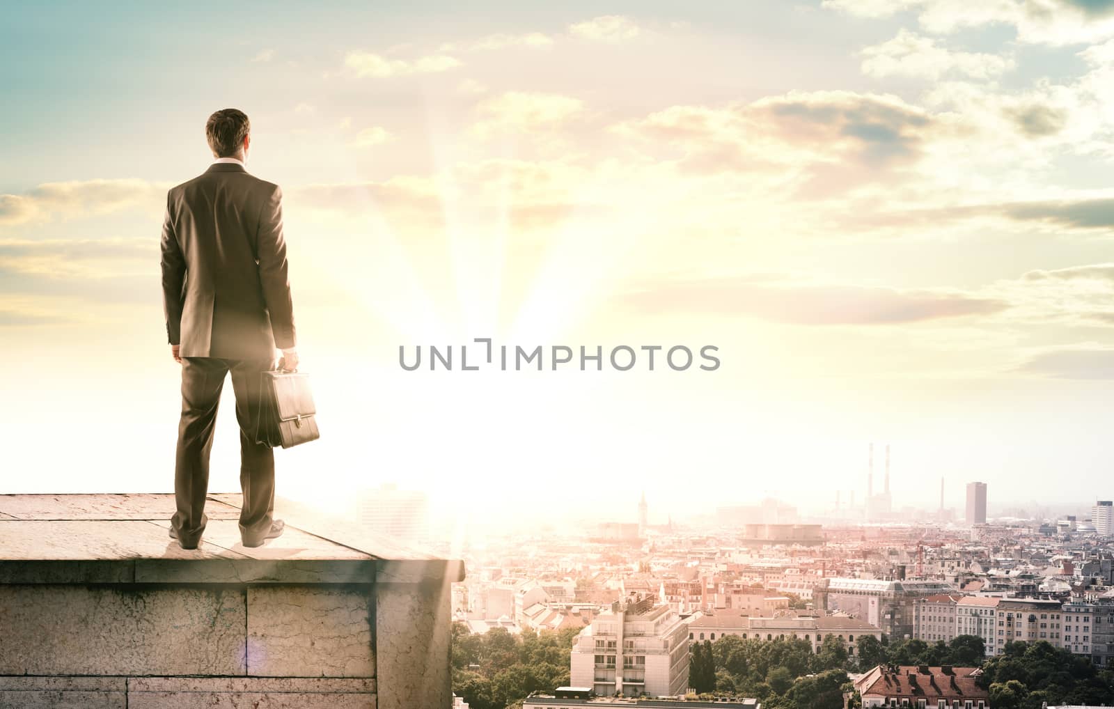 Businessman standing on roof and looking at city, back view