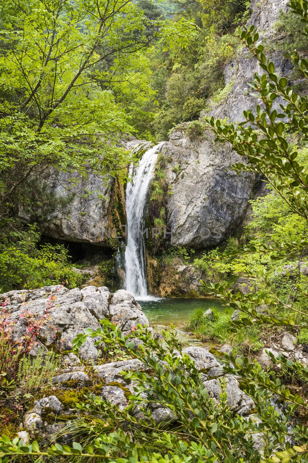 Ourlia forest waterfalls at Olympus mountain, Greece