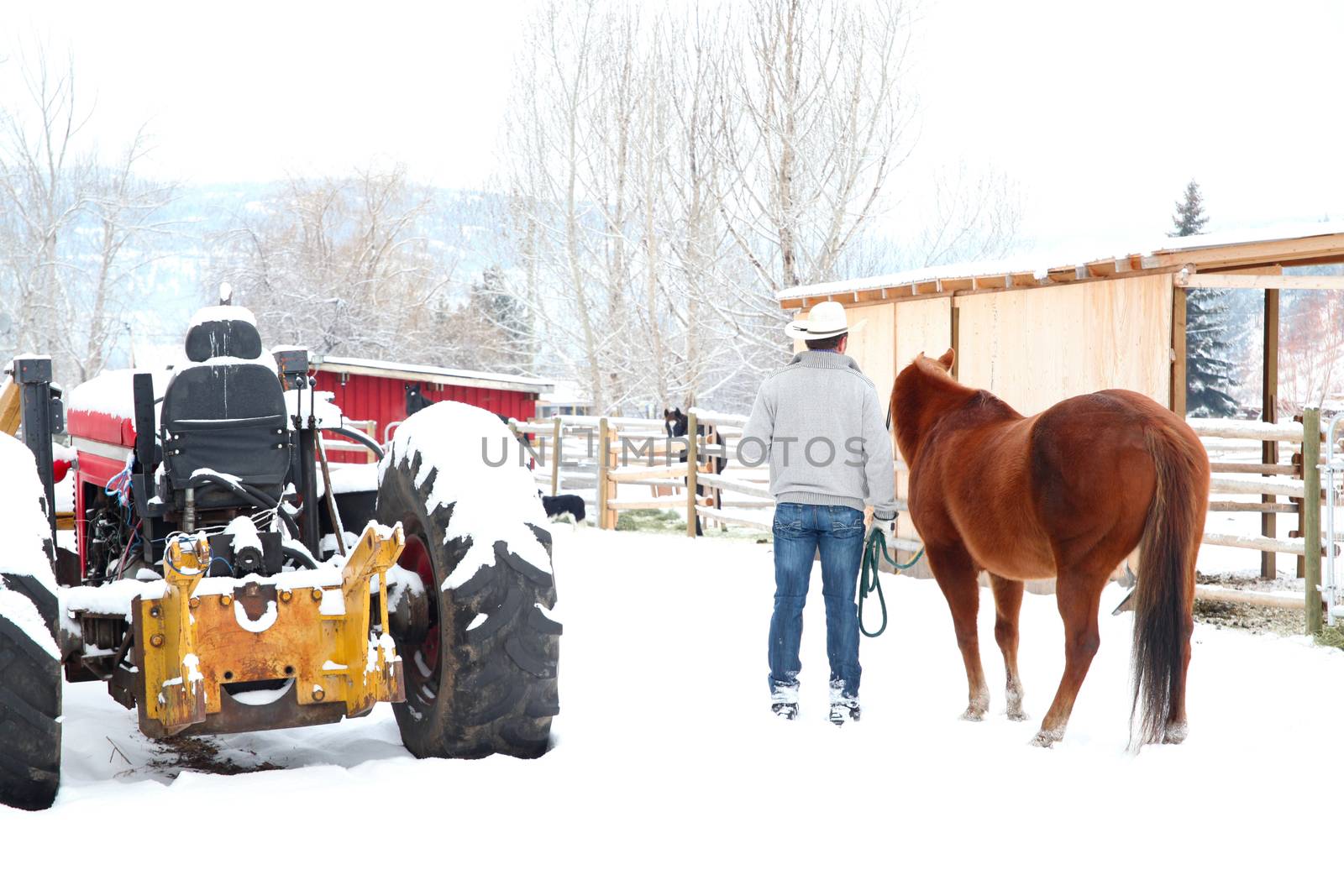 Young cowboy walking his horse back to its coral