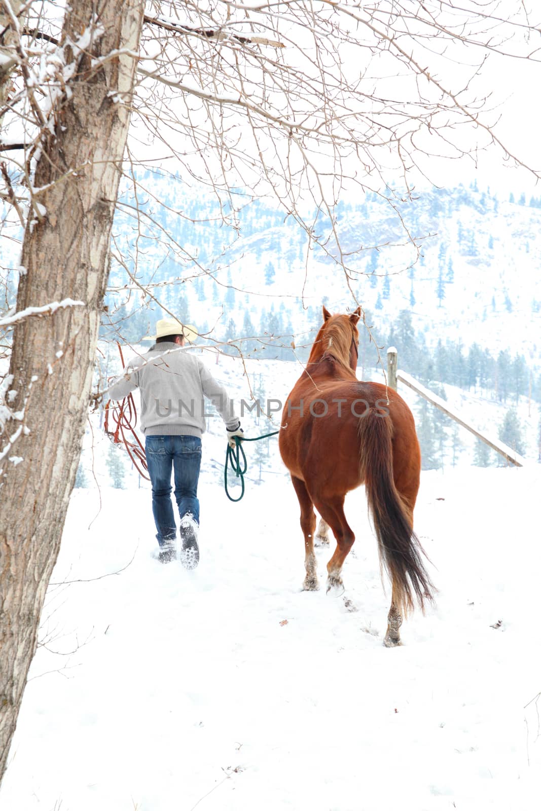 Young cowboy with his horse in a snow forest