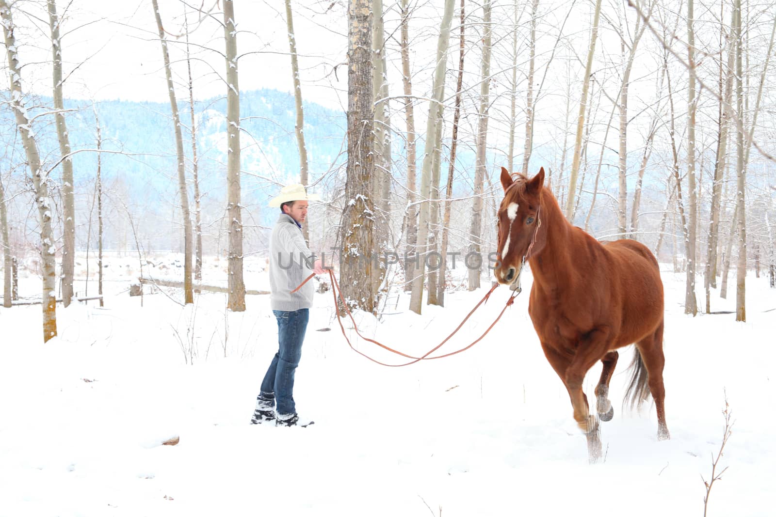 Winter cowboy by vanell
