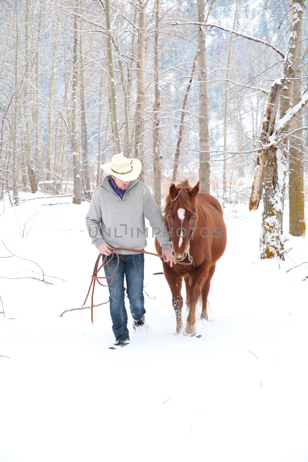 Winter cowboy by vanell