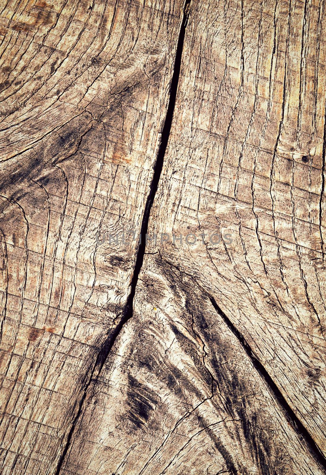 abstract background or texture pattern on an old oak plank