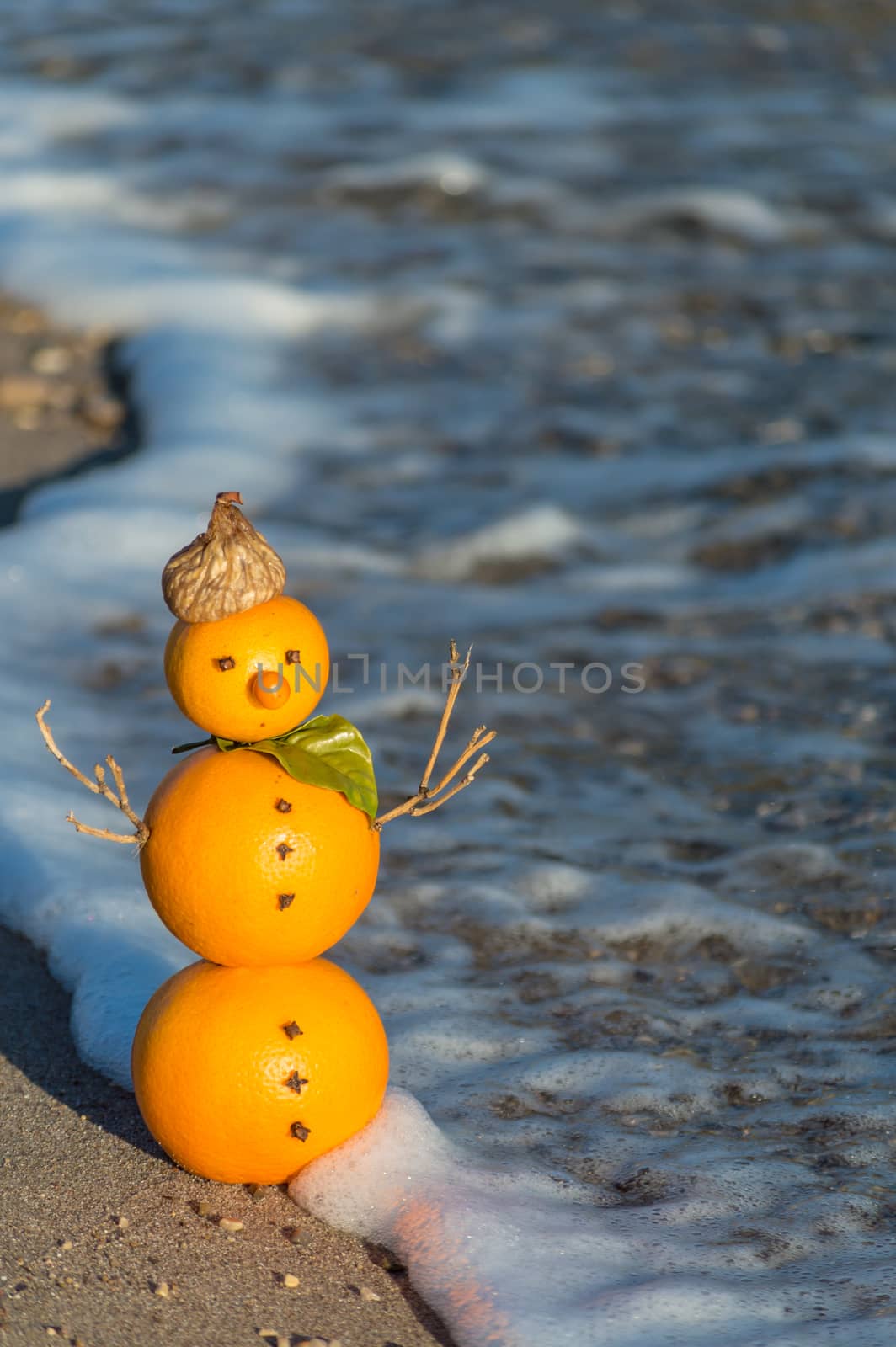 Snowman made of oranges  by radzonimo