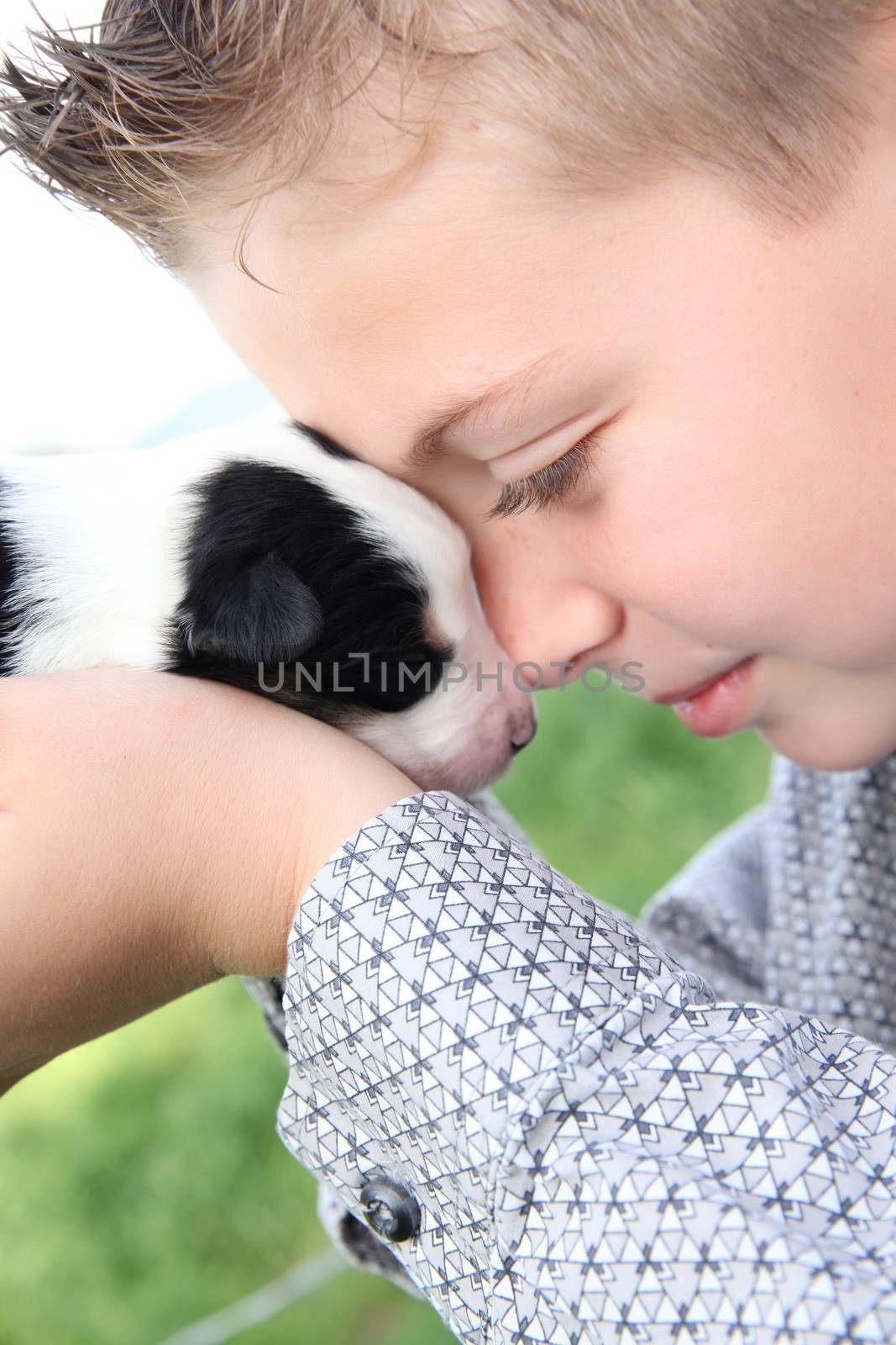 Young boy holding a week hold Border Collie puppy