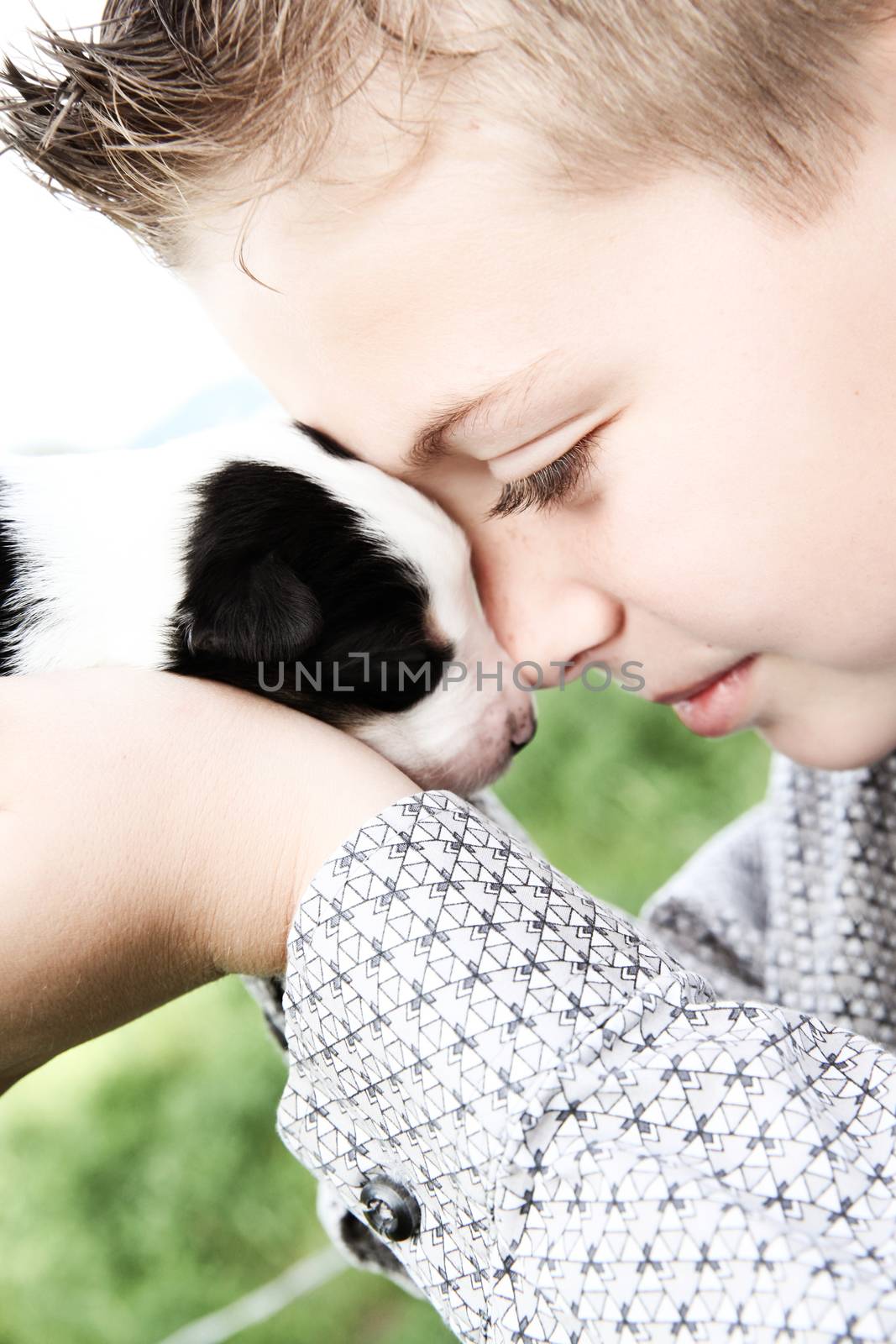 Young boy holding a week old Border Collie pup