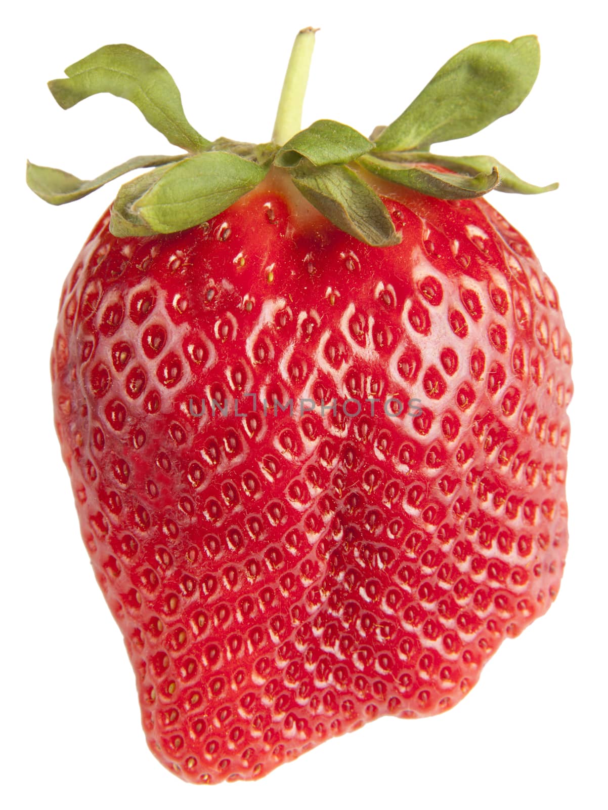 Single Strawberry Isolated on White Background