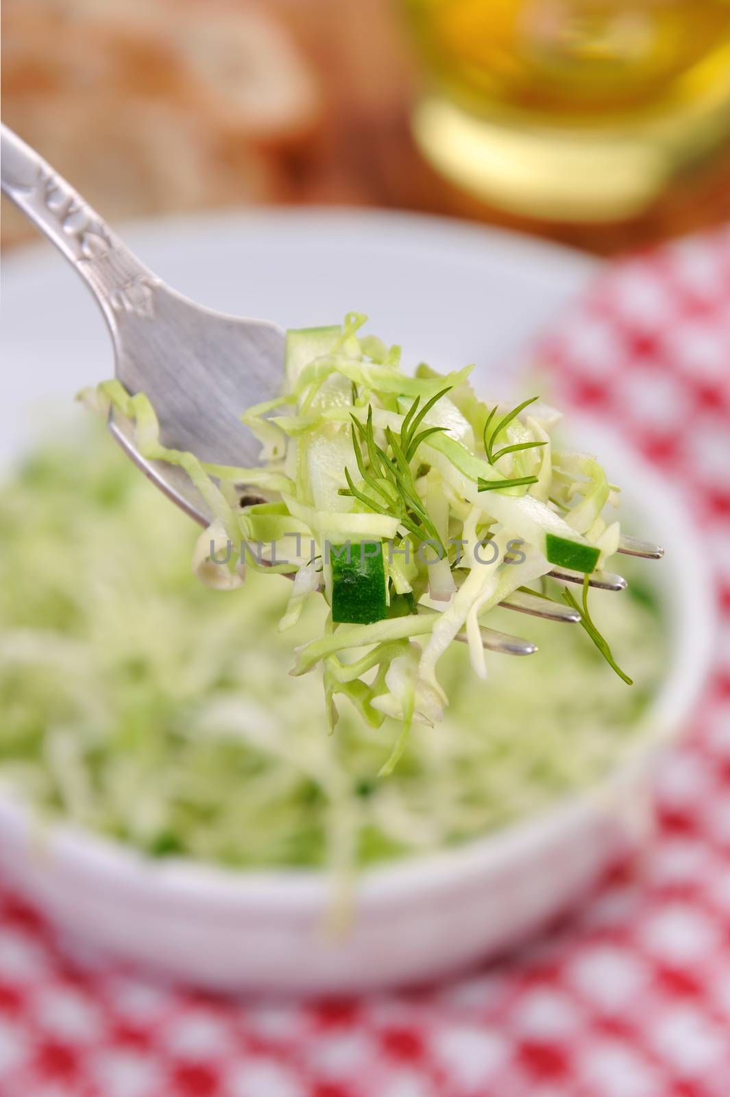Salad with cucumber coleslaw on a fork close up