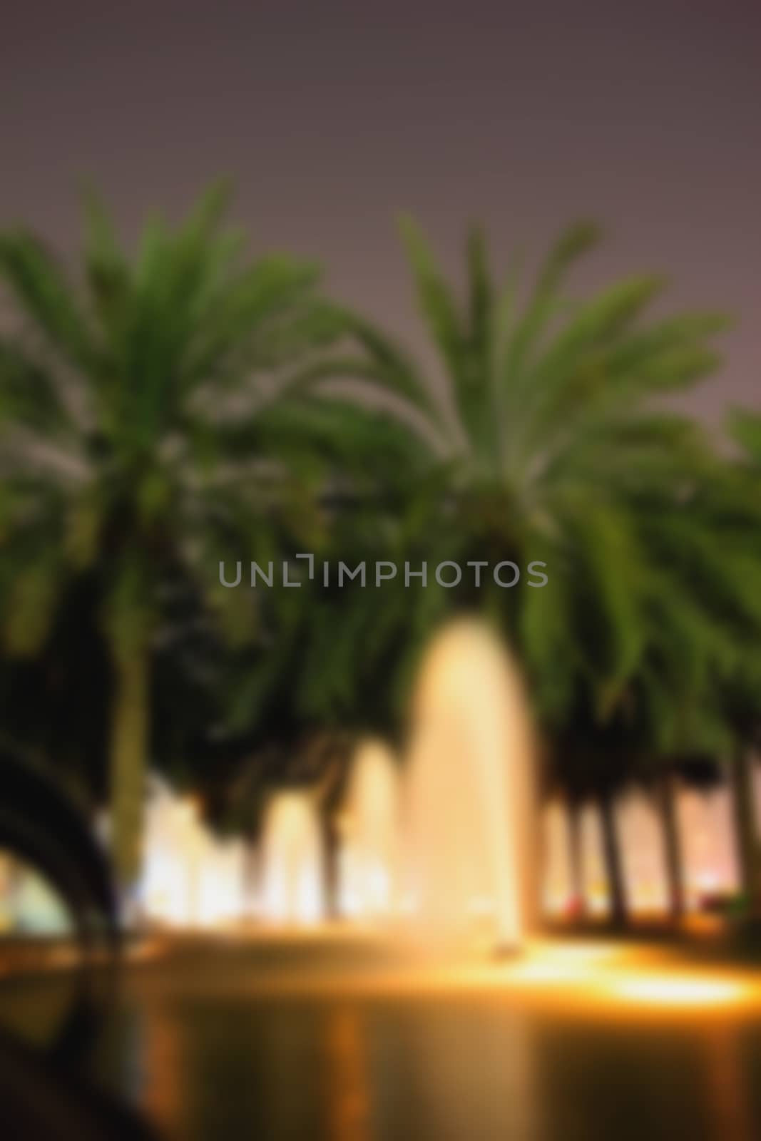 Blur blurred background street fountains, palm trees evening lig by KoliadzynskaIryna