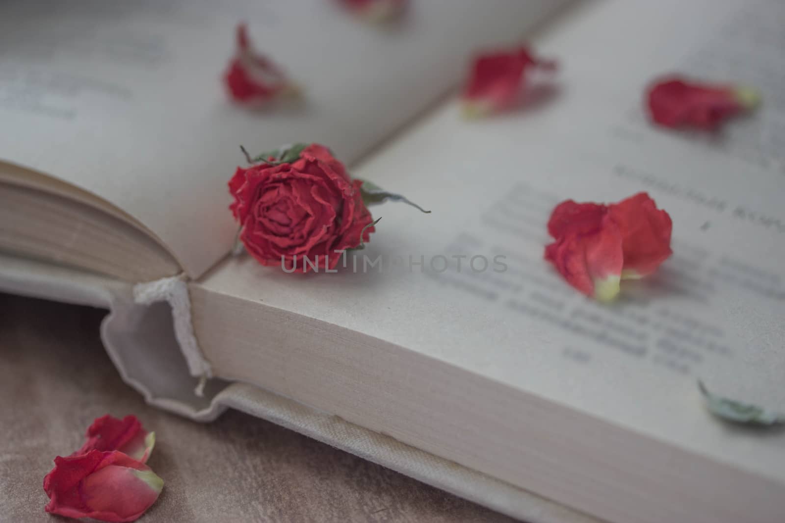 Dry roses and open book by liwei12