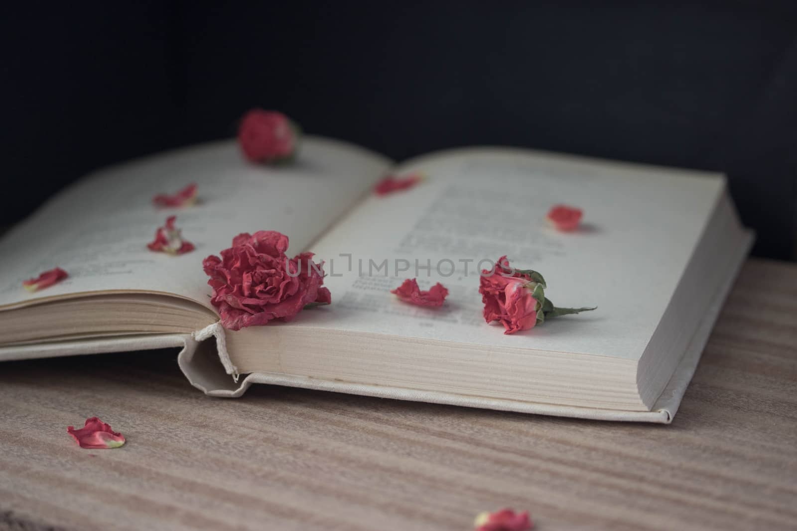 Dry roses and open book by liwei12