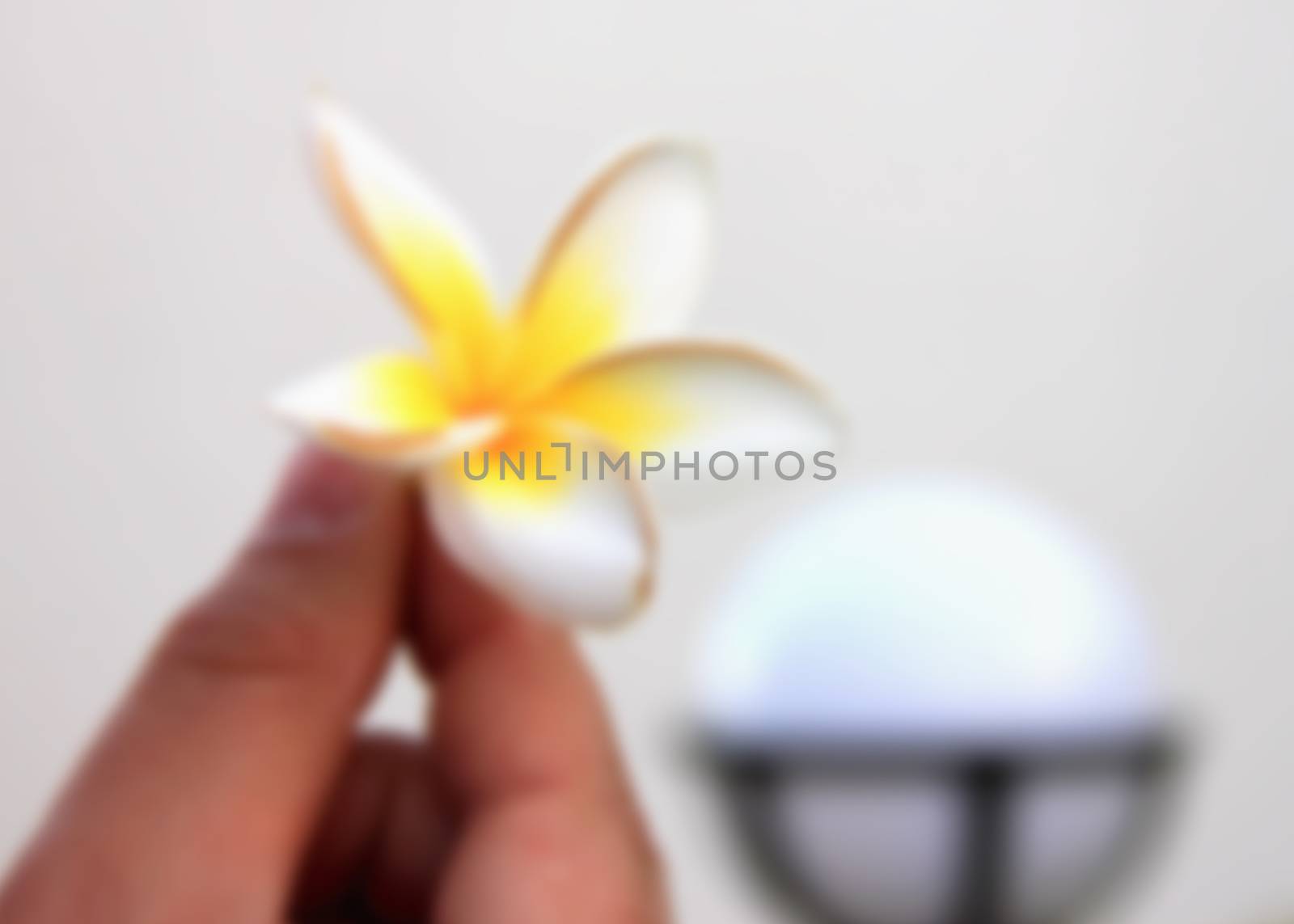 man's hand holding a tropical flower for a blurred background