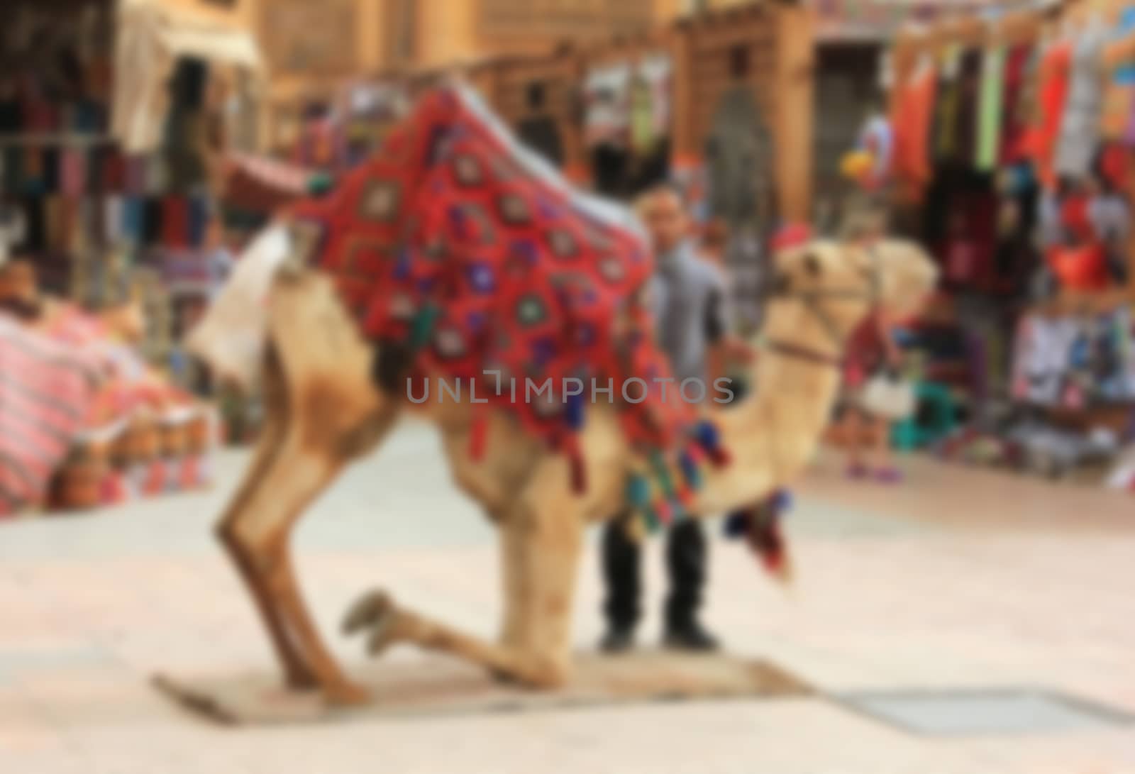 camel for walks, horseback tourists, the desert and the Bedouin, blurred